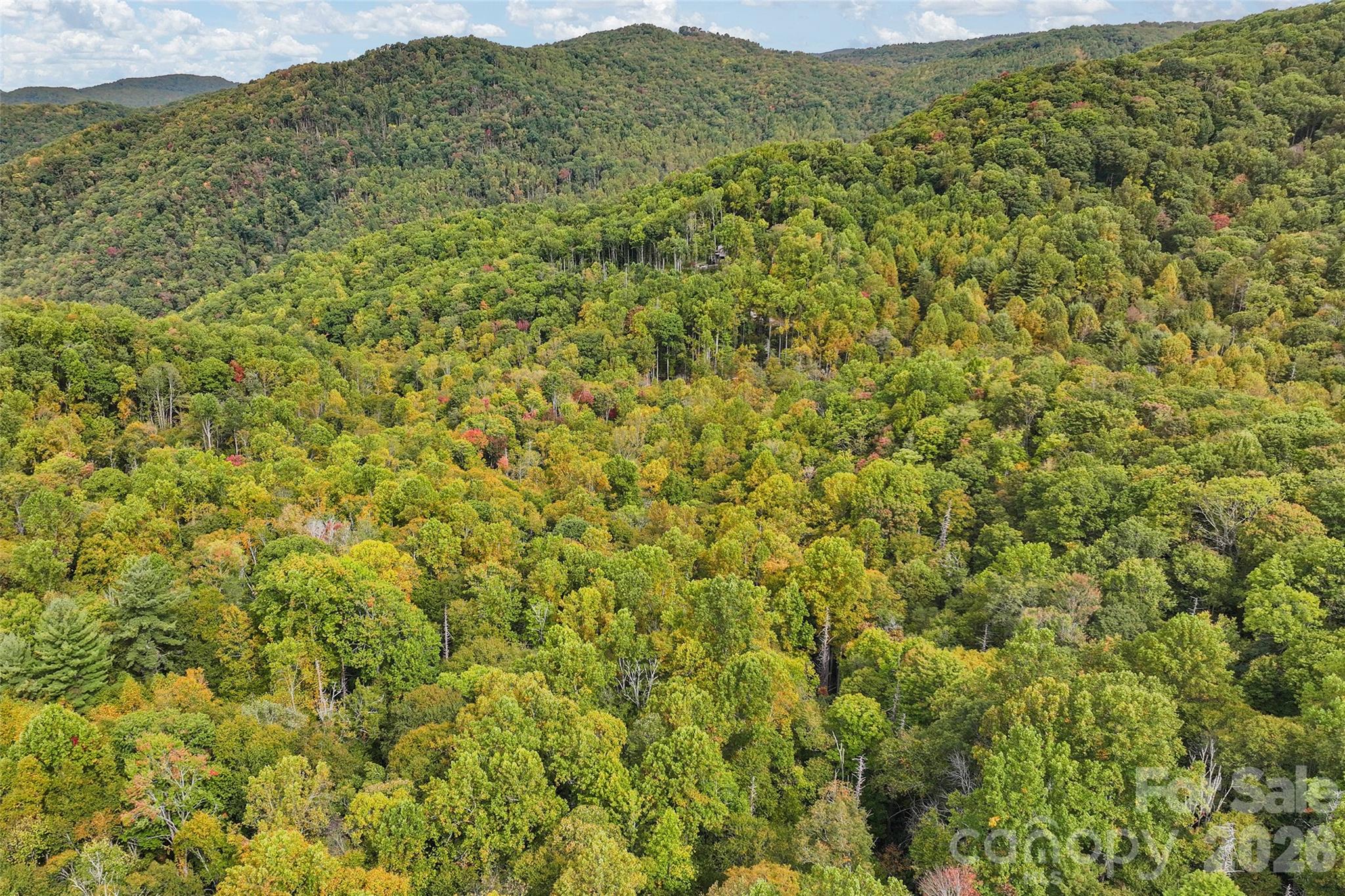 45 Smoke Vine Trail Property Photo 29