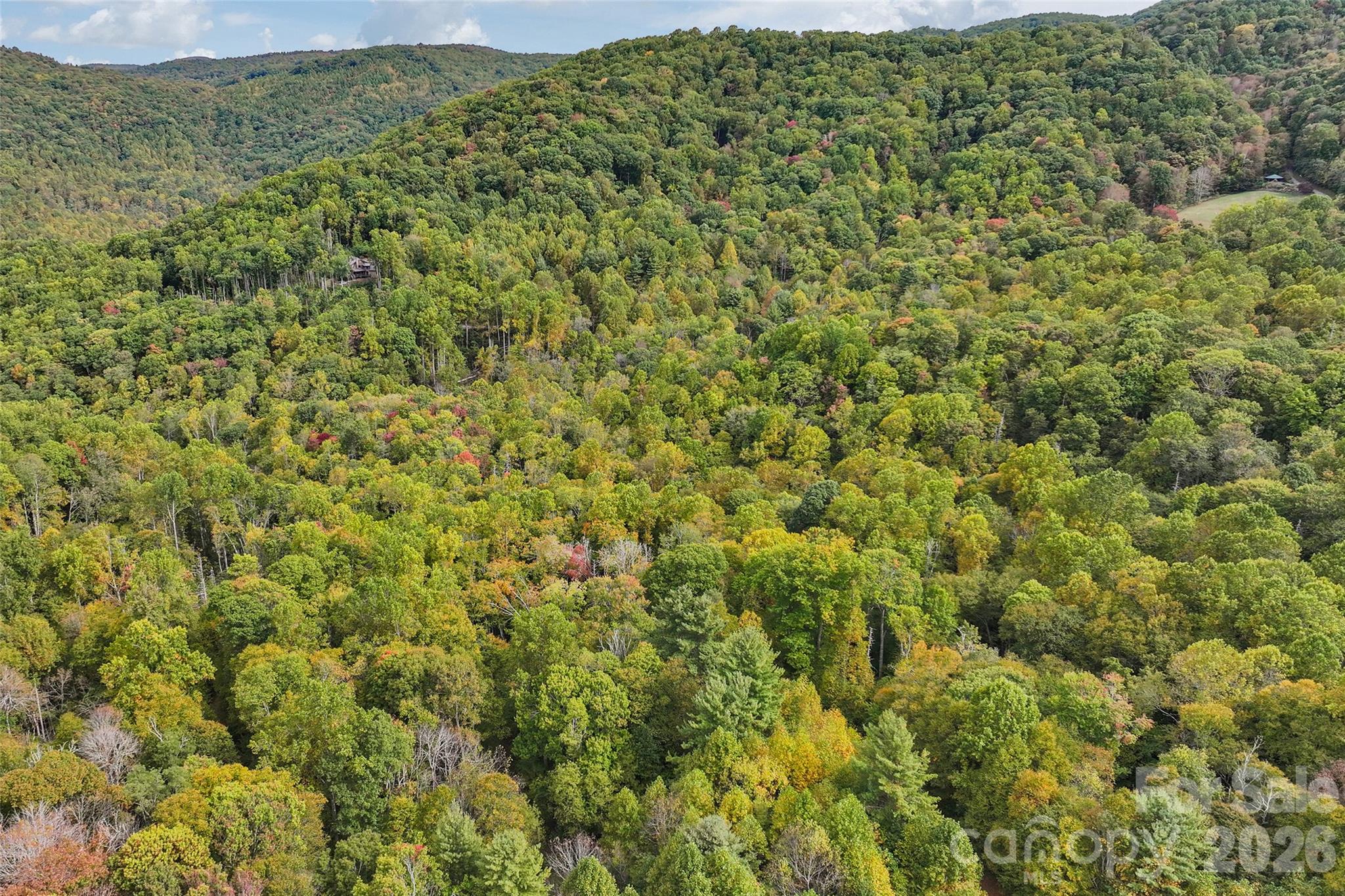 45 Smoke Vine Trail Property Photo 30