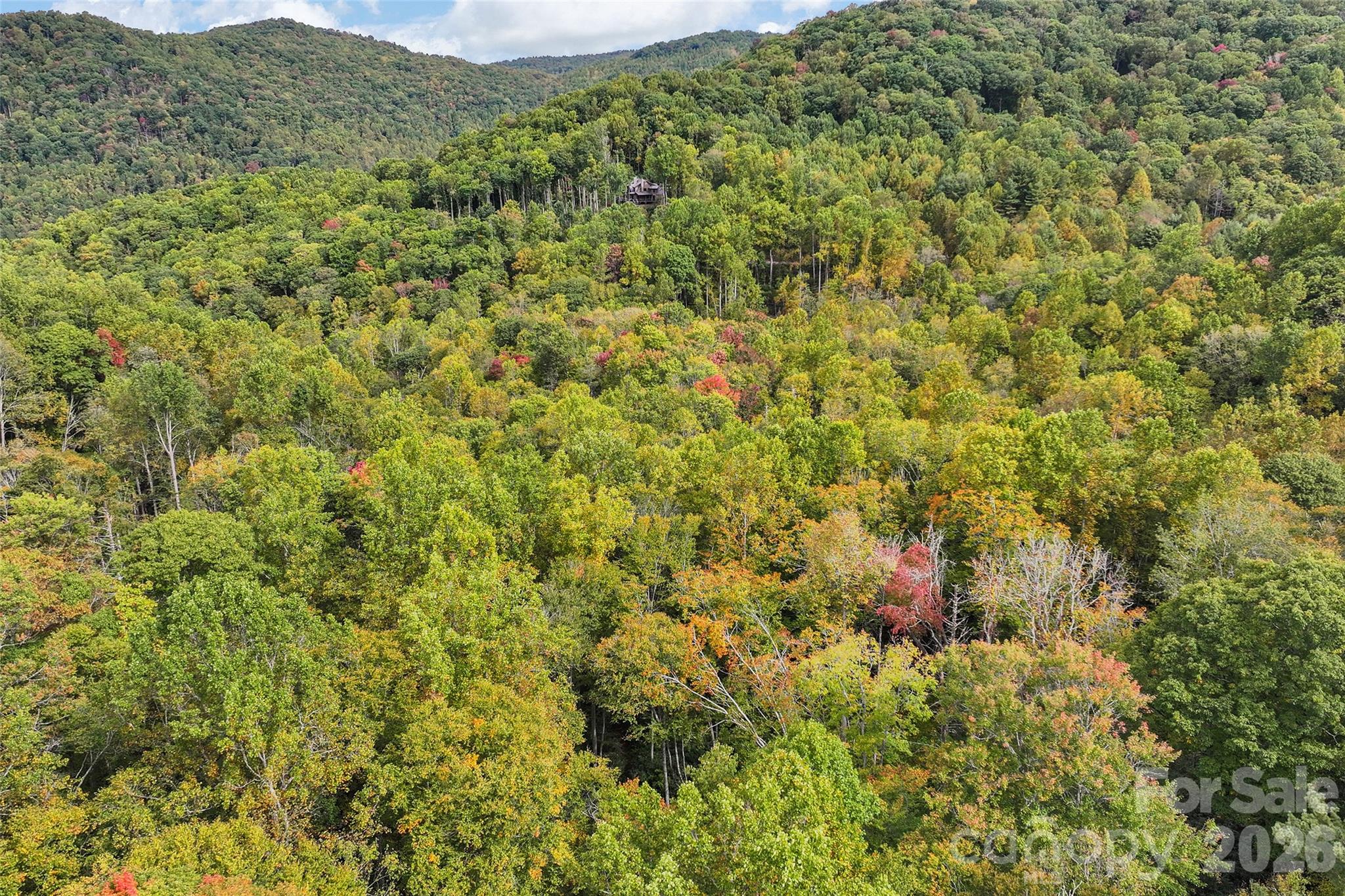 45 Smoke Vine Trail Property Photo 31