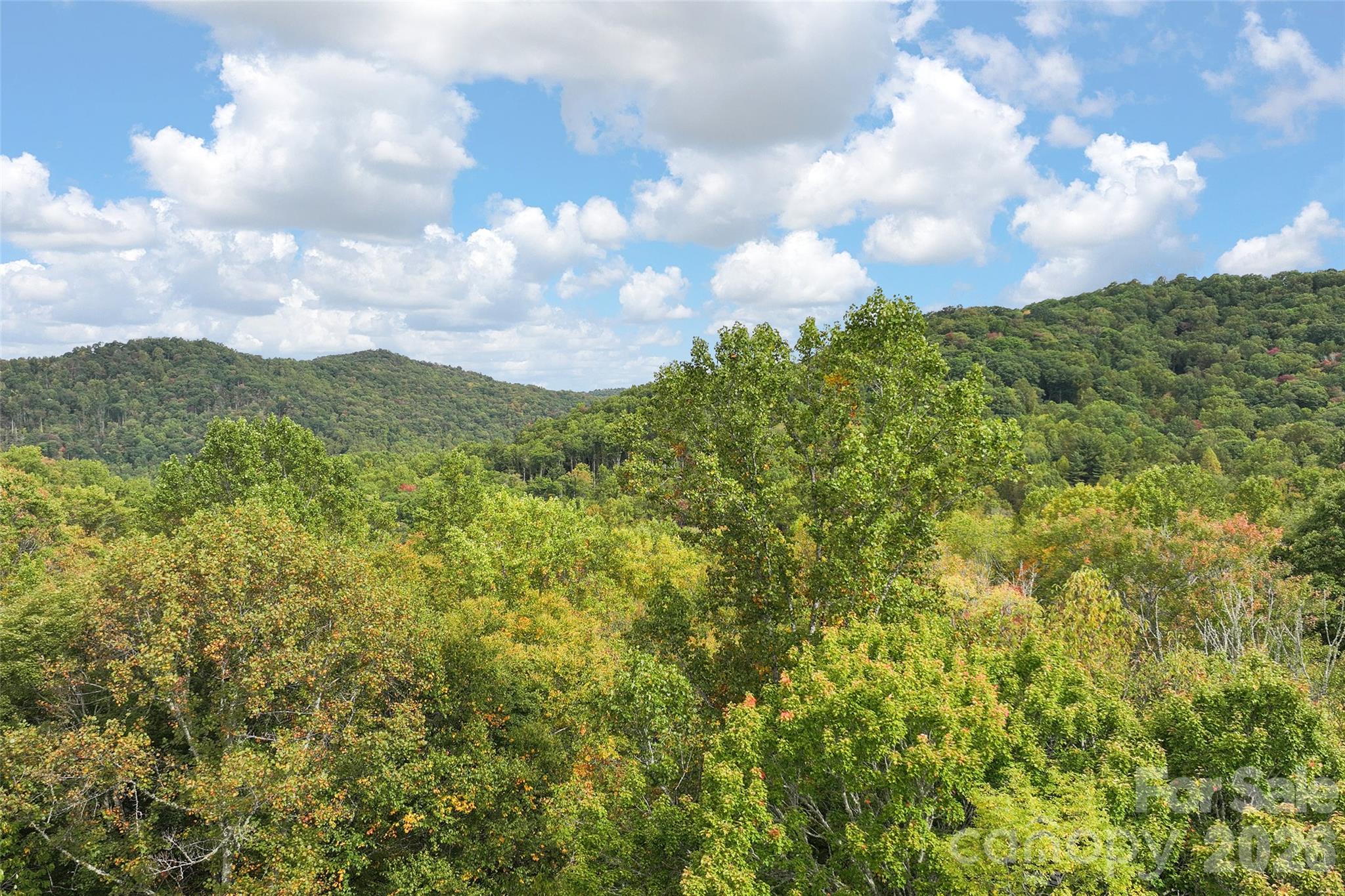 45 Smoke Vine Trail Property Photo 32