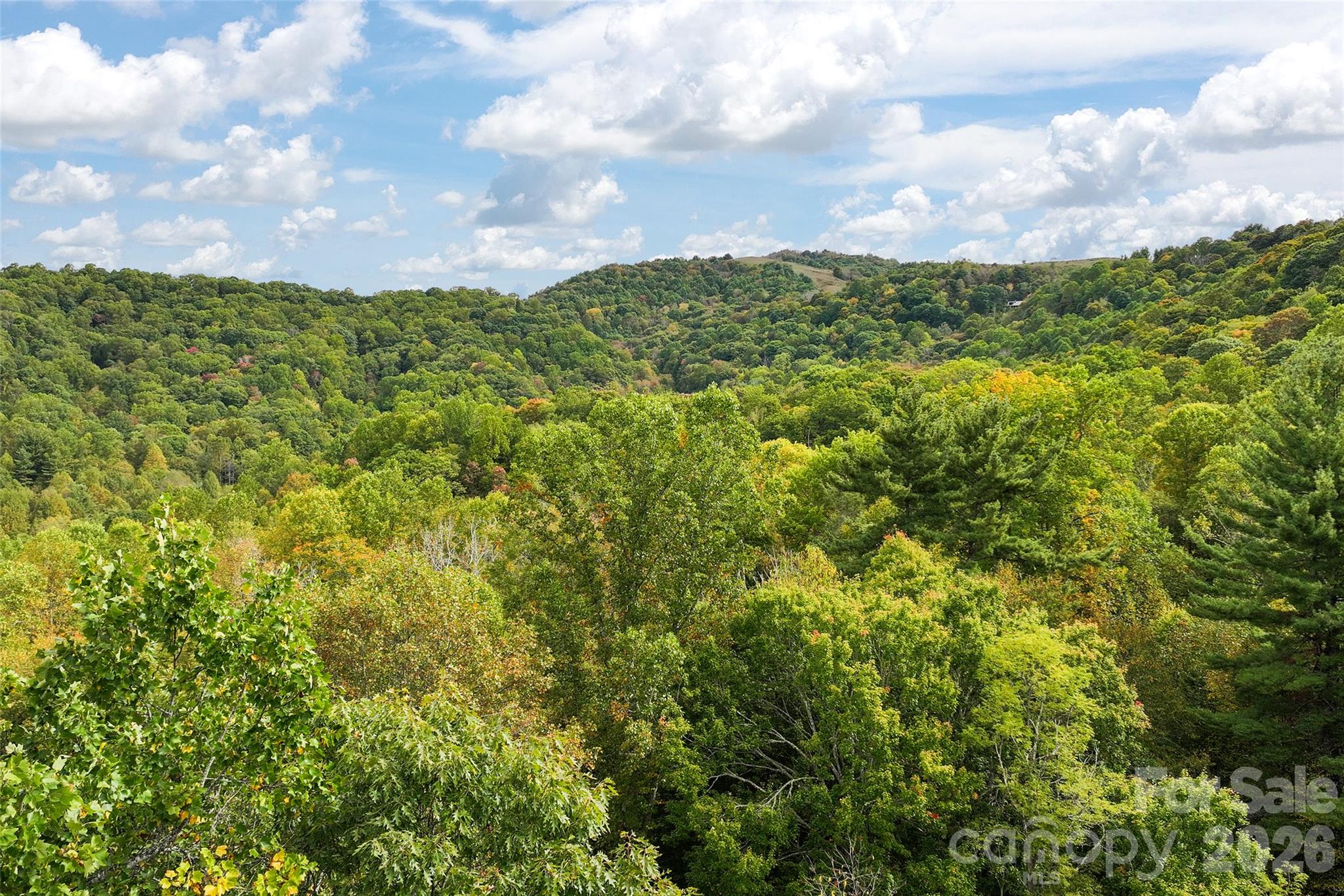 45 Smoke Vine Trail Property Photo 33