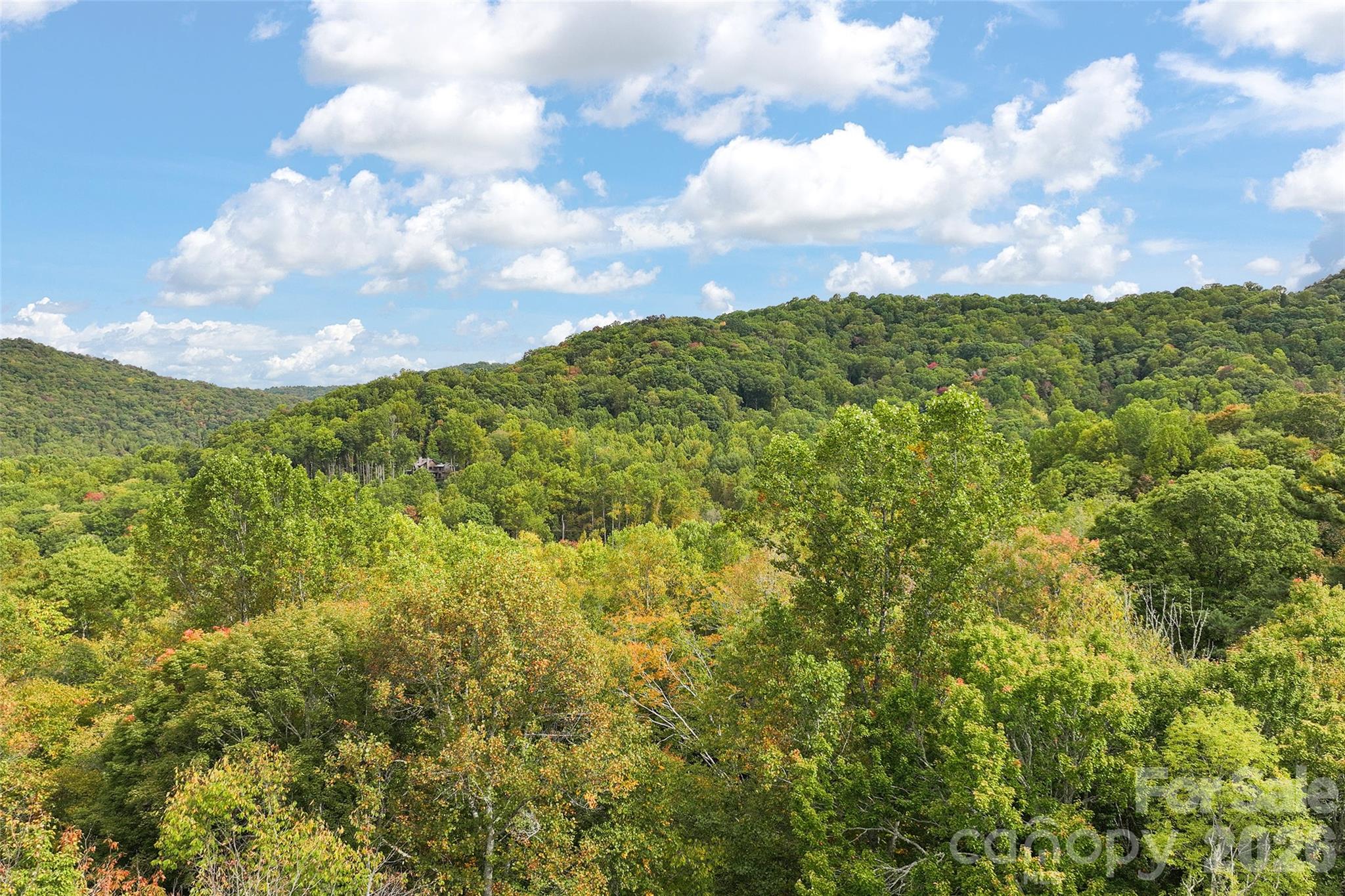 45 Smoke Vine Trail Property Photo 34