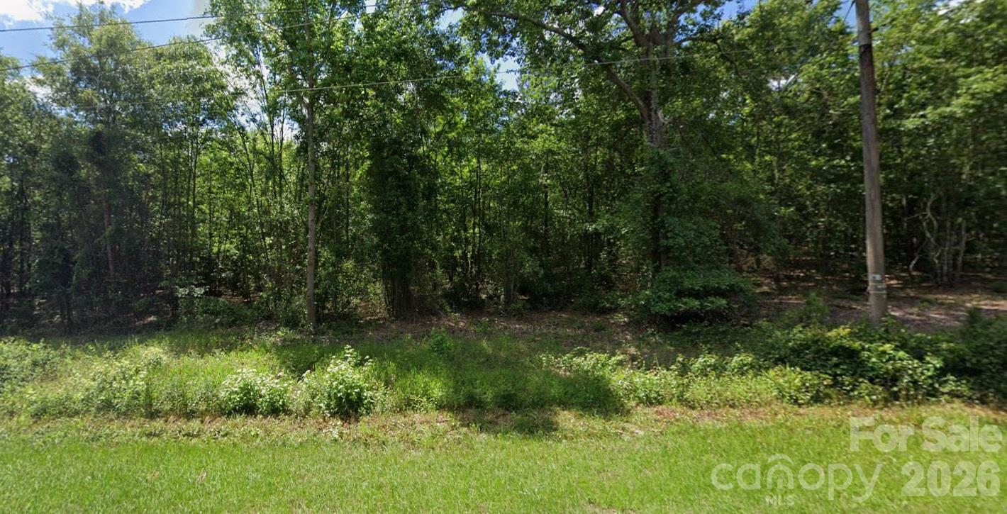 4079 Jefferson Davis Highway Property Photo 2