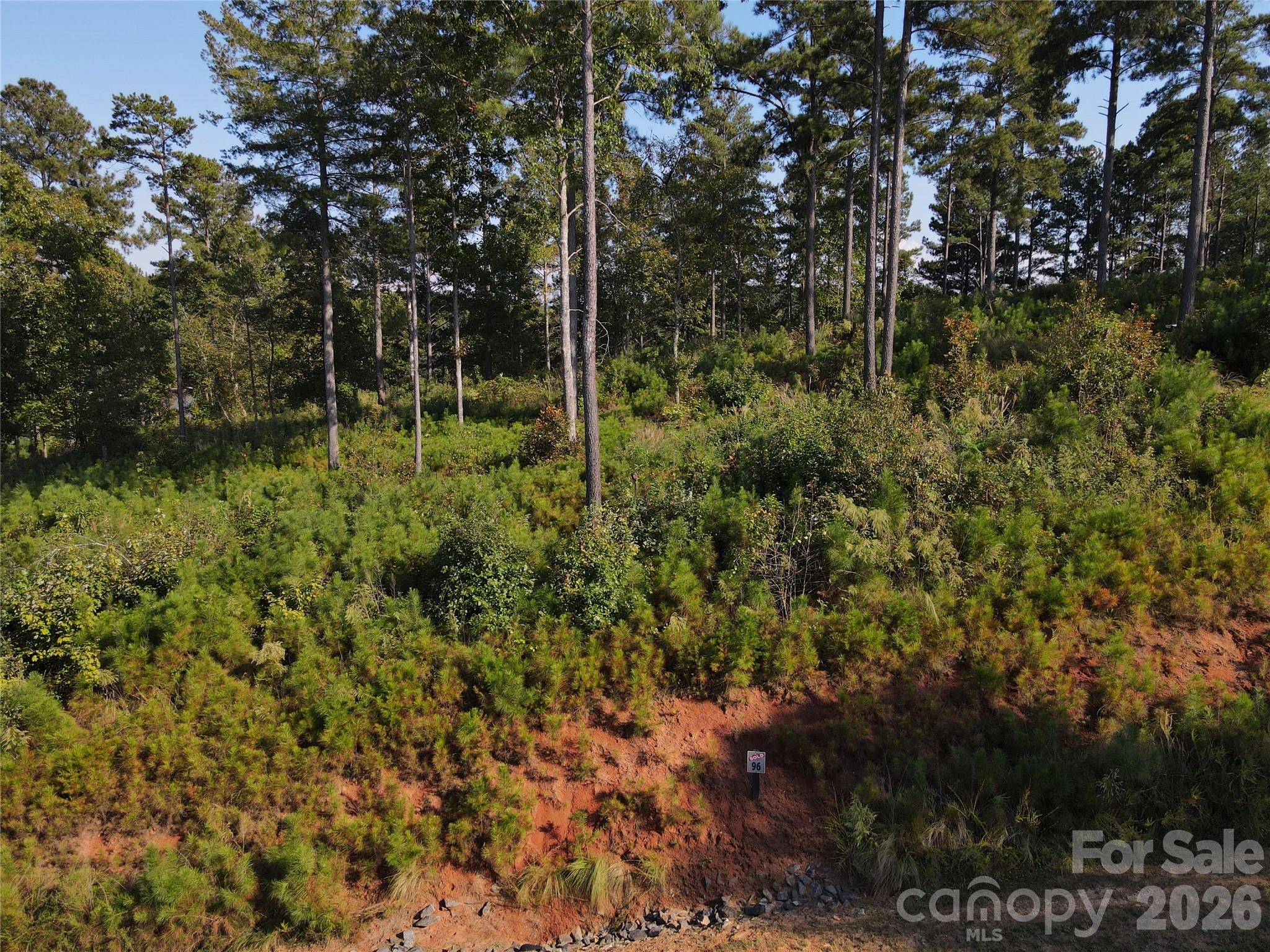 3060 Jumping Run Property Photo 2