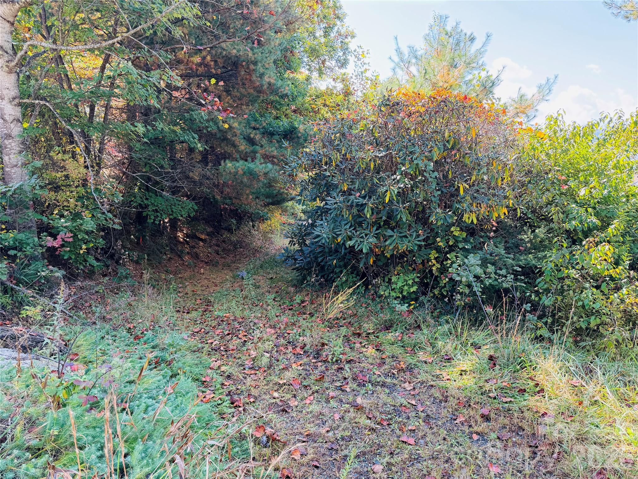 215 High View Trail Property Photo 11