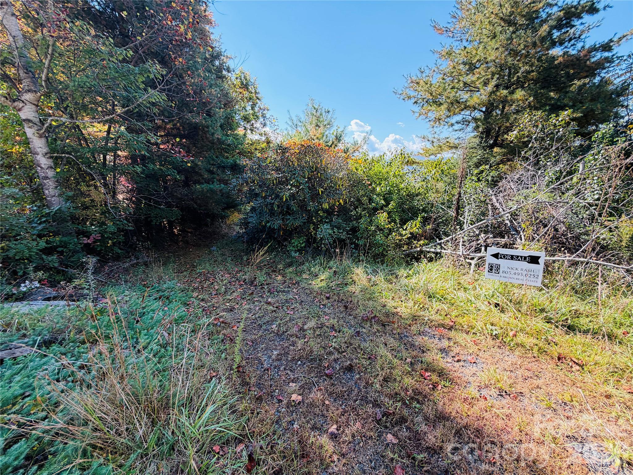 215 High View Trail Property Photo 12
