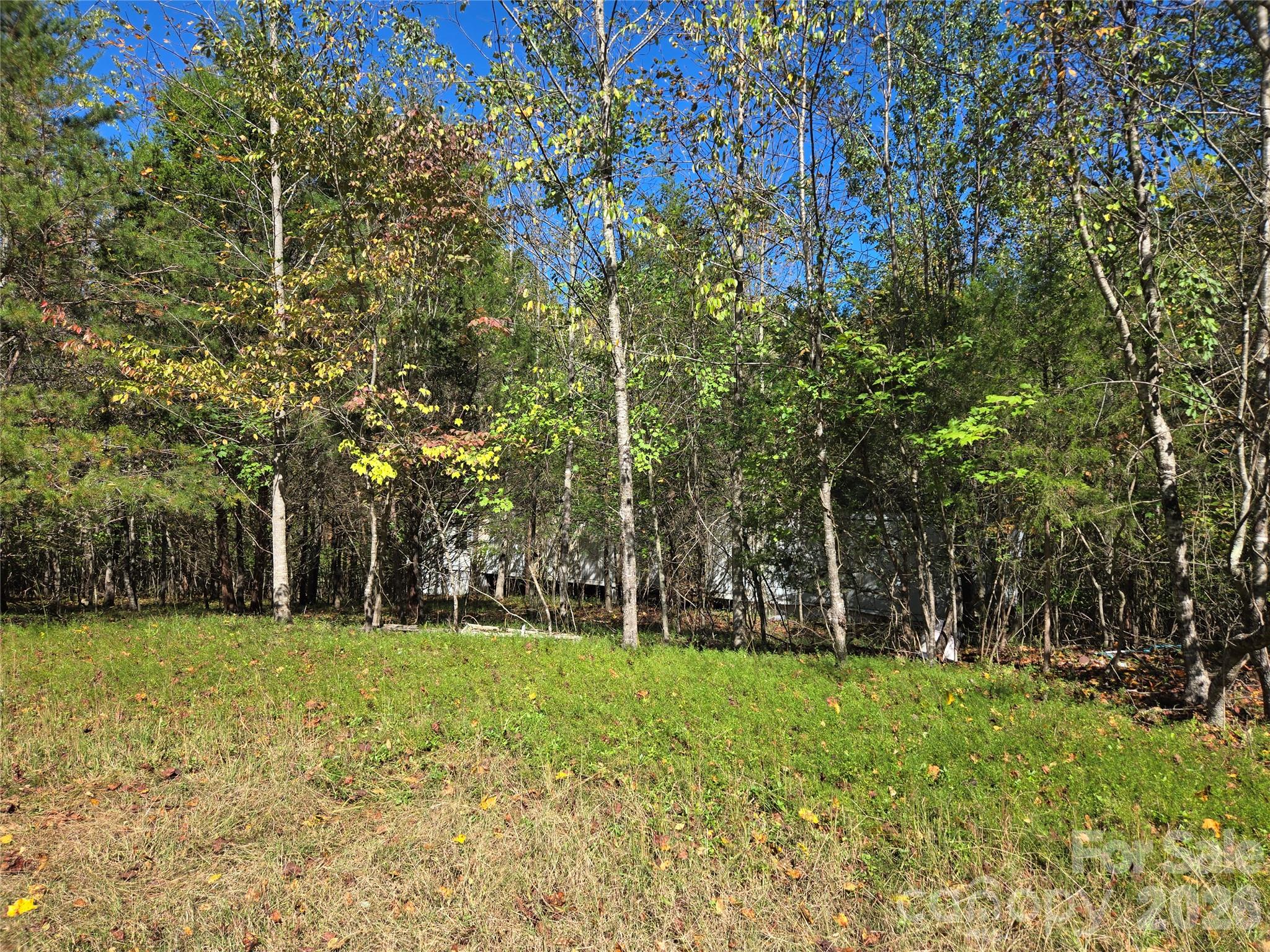 1021 Sweetbriar Lane Property Photo 3