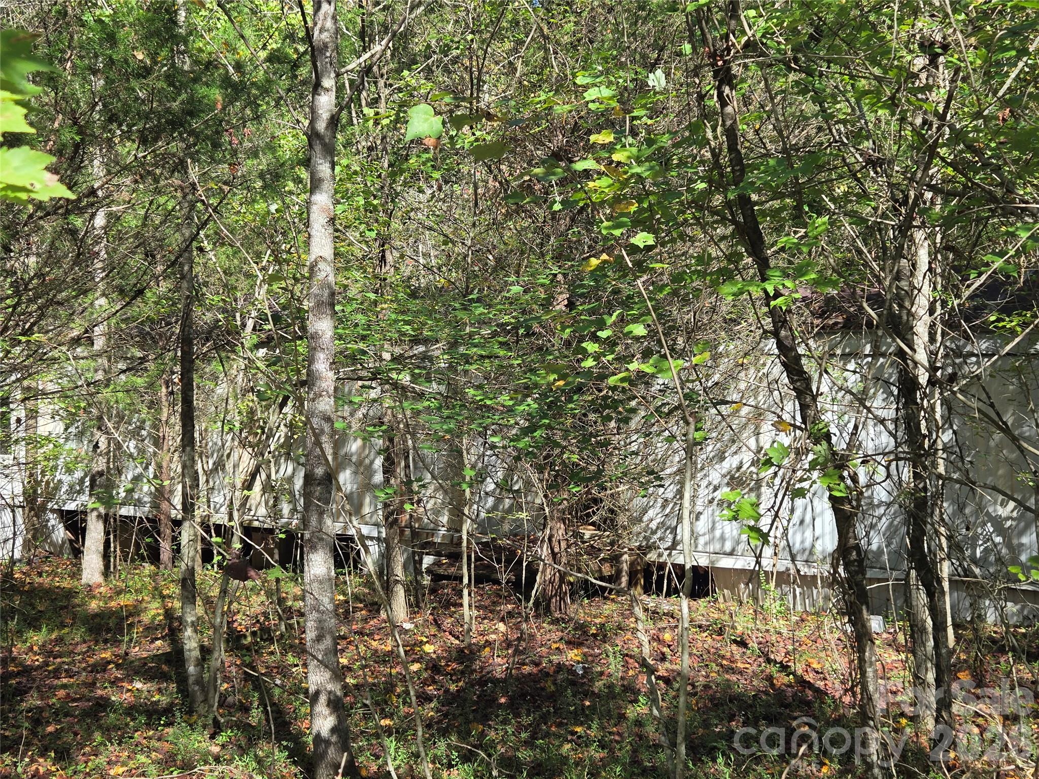 1021 Sweetbriar Lane Property Photo 4