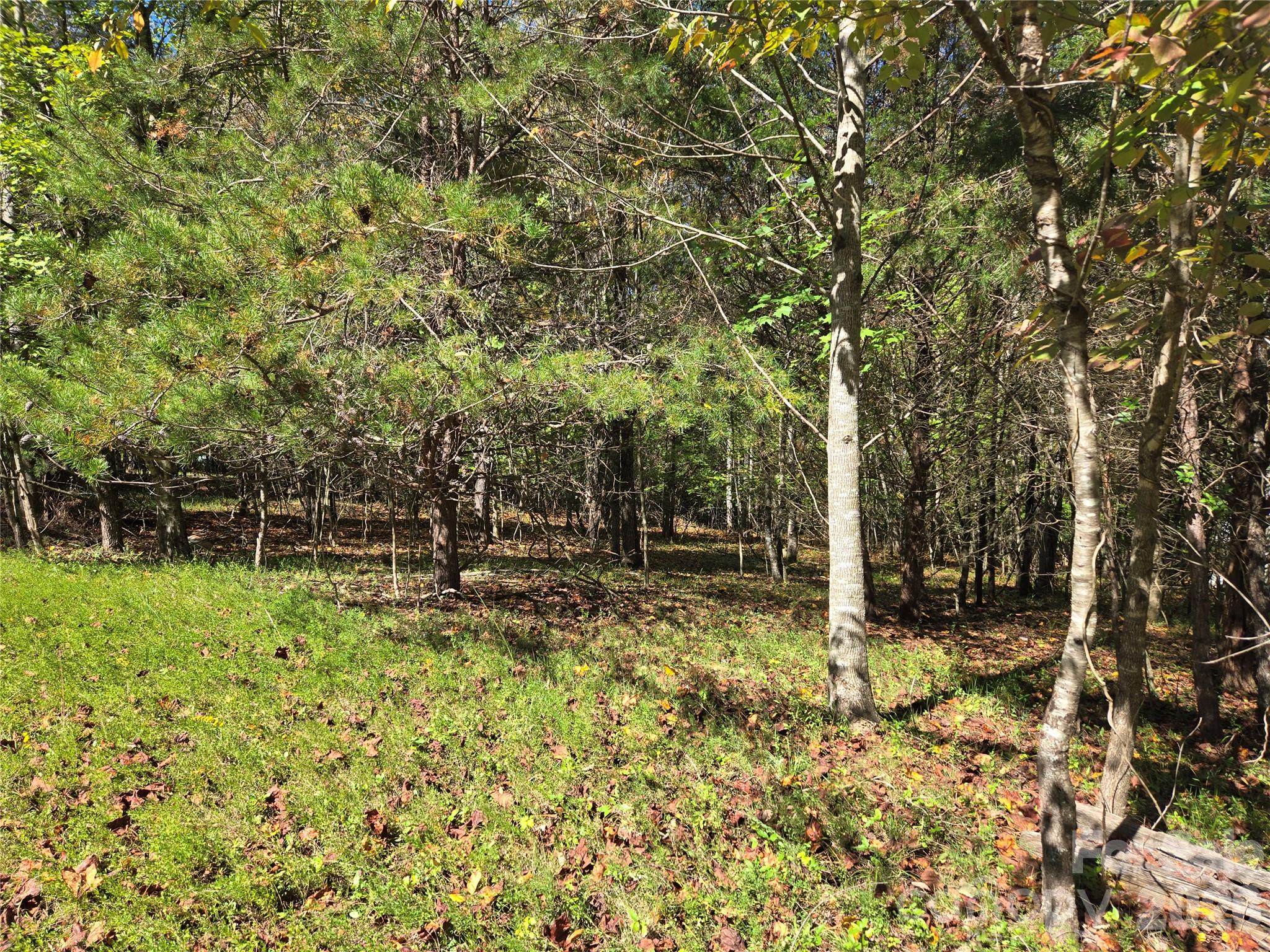 1021 Sweetbriar Lane Property Photo 5