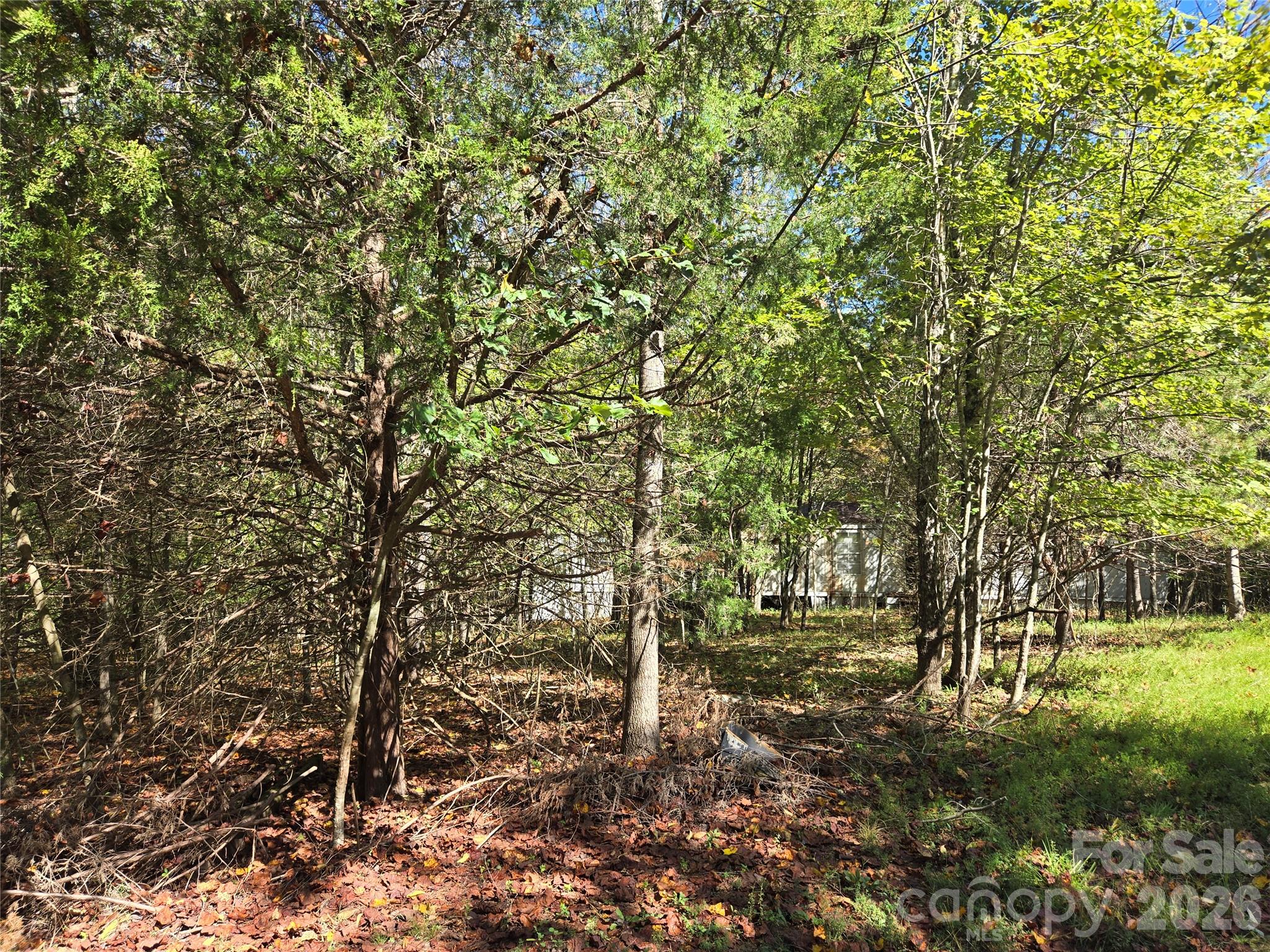 1021 Sweetbriar Lane Property Photo 6