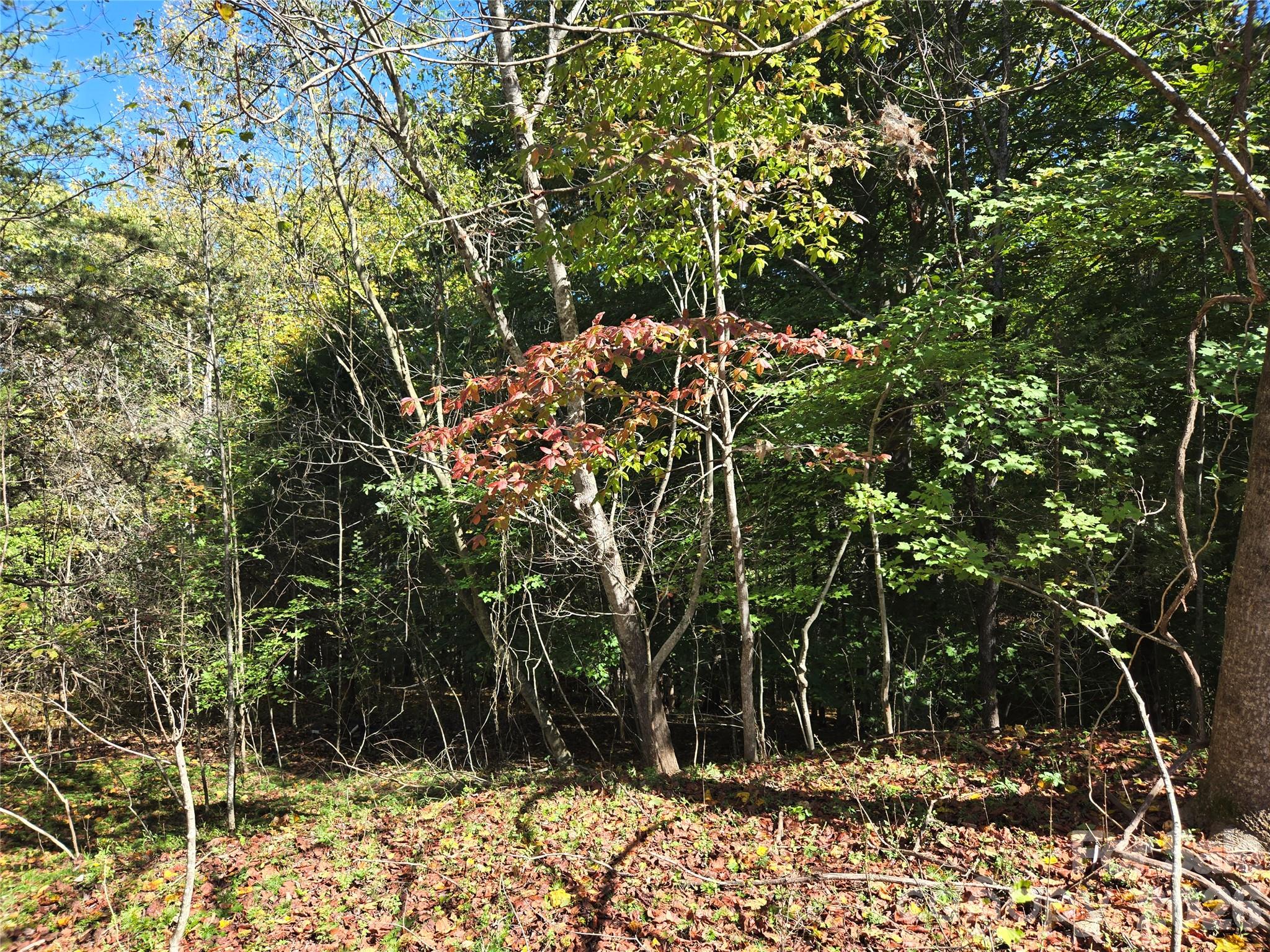 1021 Sweetbriar Lane Property Photo 7
