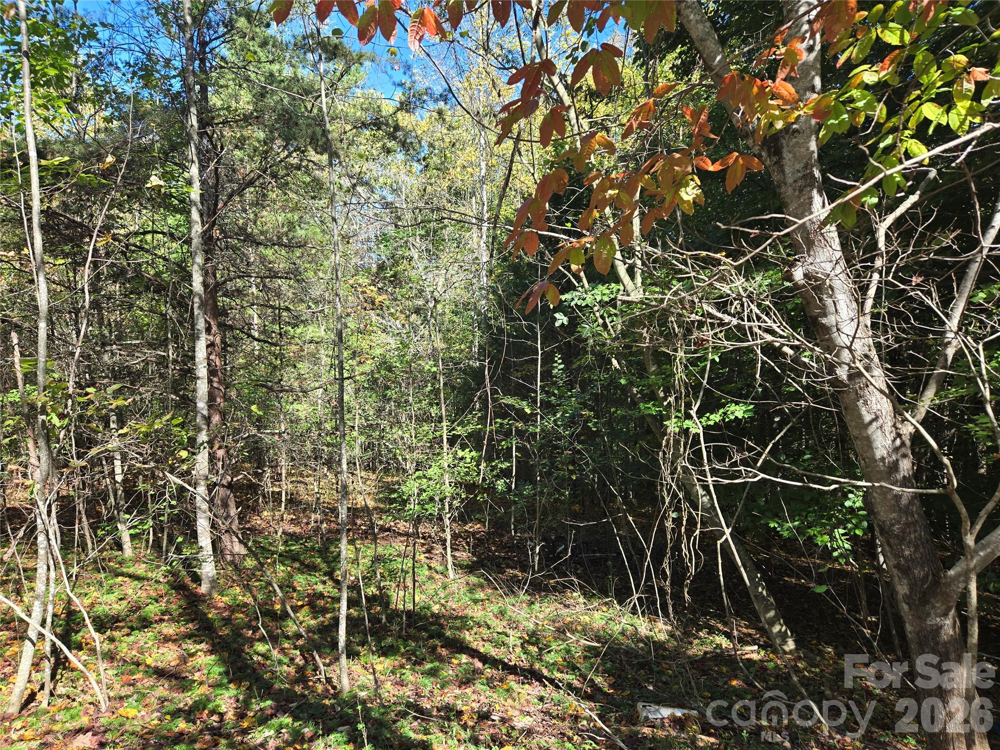 1021 Sweetbriar Lane Property Photo 10