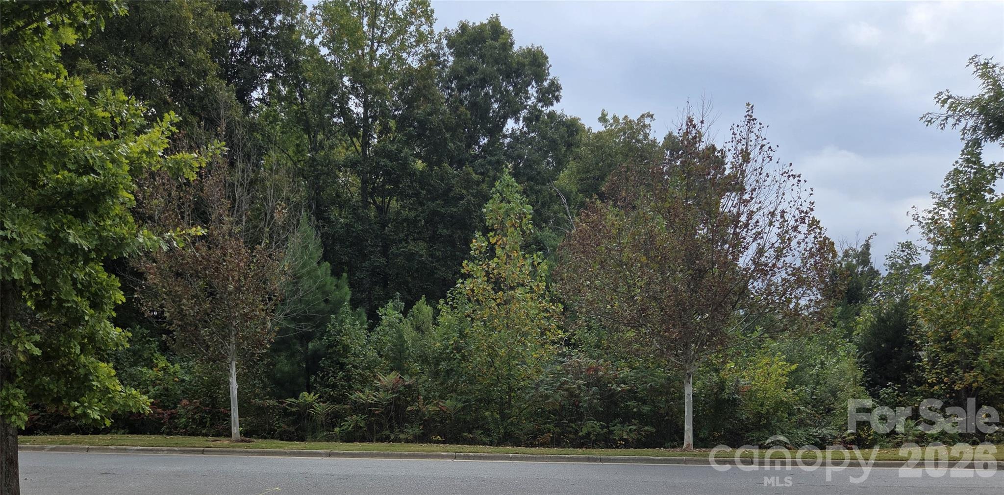 9158 Cantrell Way Property Photo 40