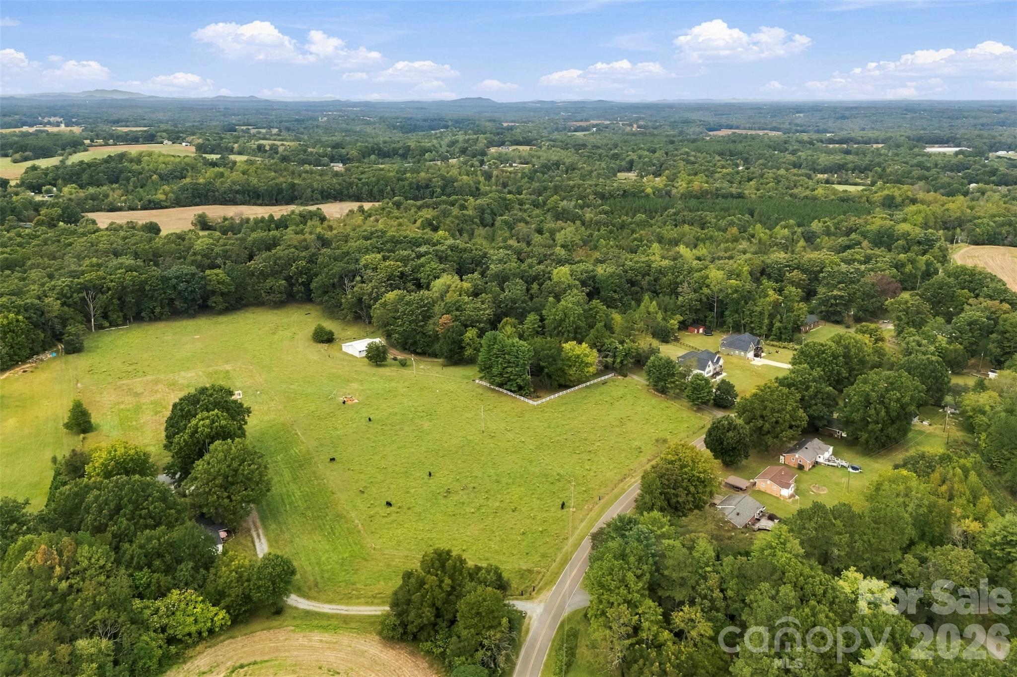 221 Lee Black Road Property Photo 9