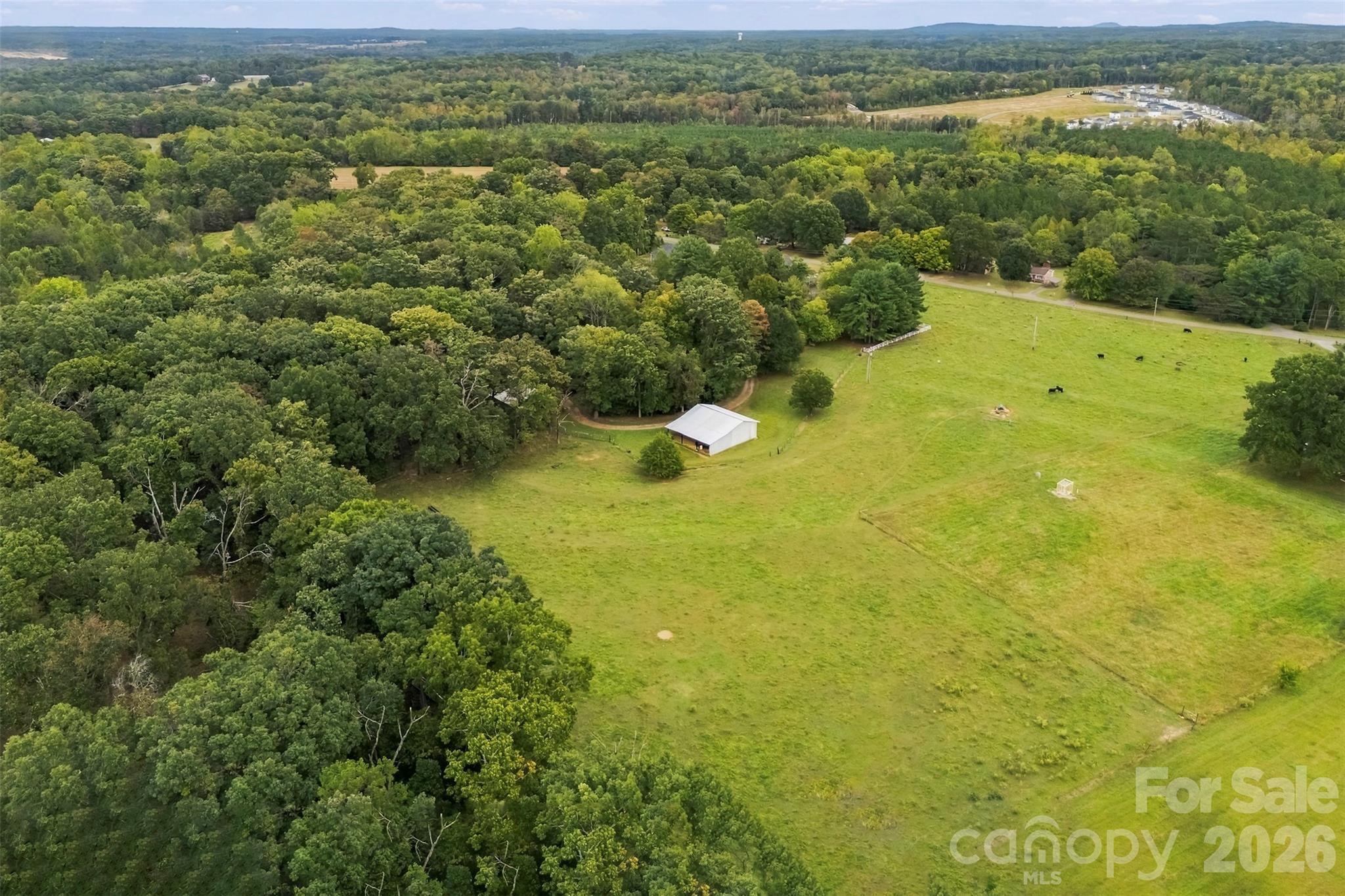 221 Lee Black Road Property Photo 10