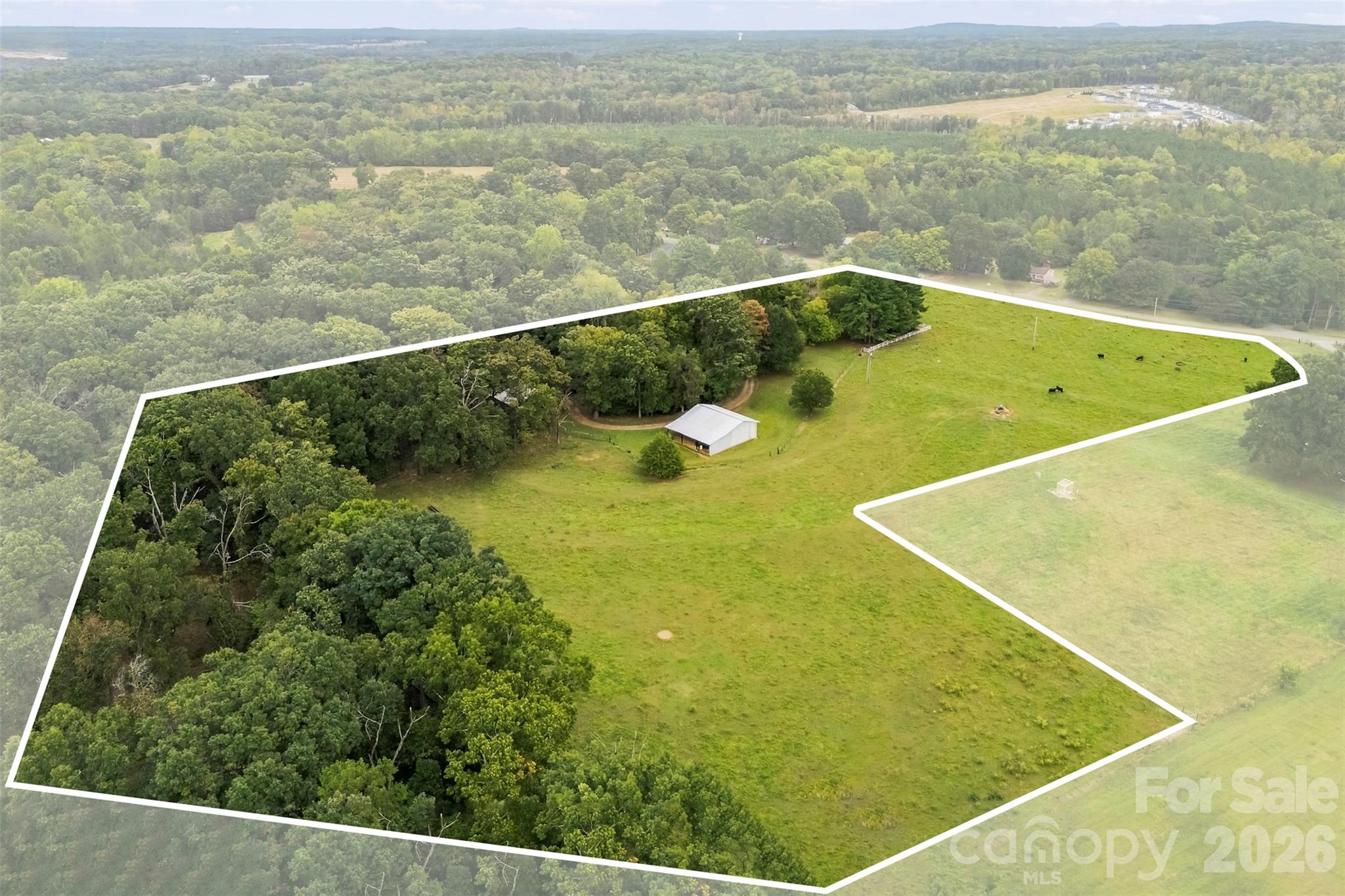 221 Lee Black Road Property Photo 11