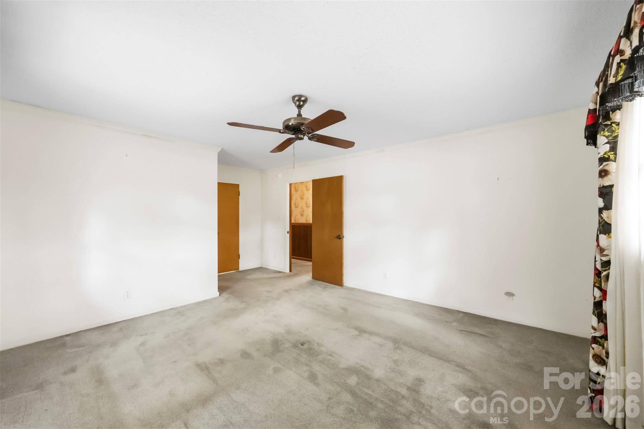 221 Lee Black Road Property Photo 29