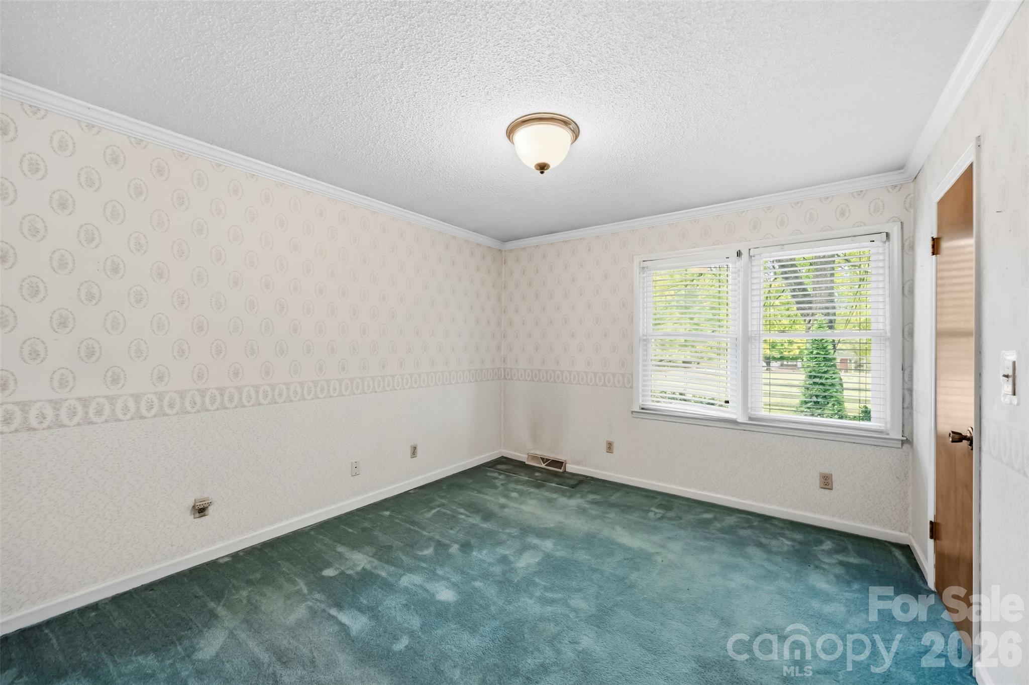221 Lee Black Road Property Photo 37