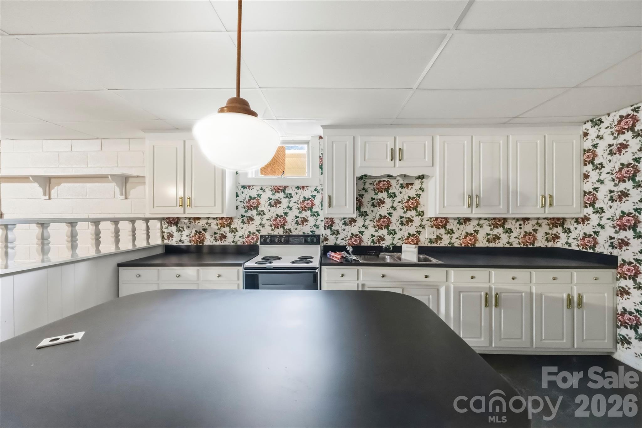 221 Lee Black Road Property Photo 42
