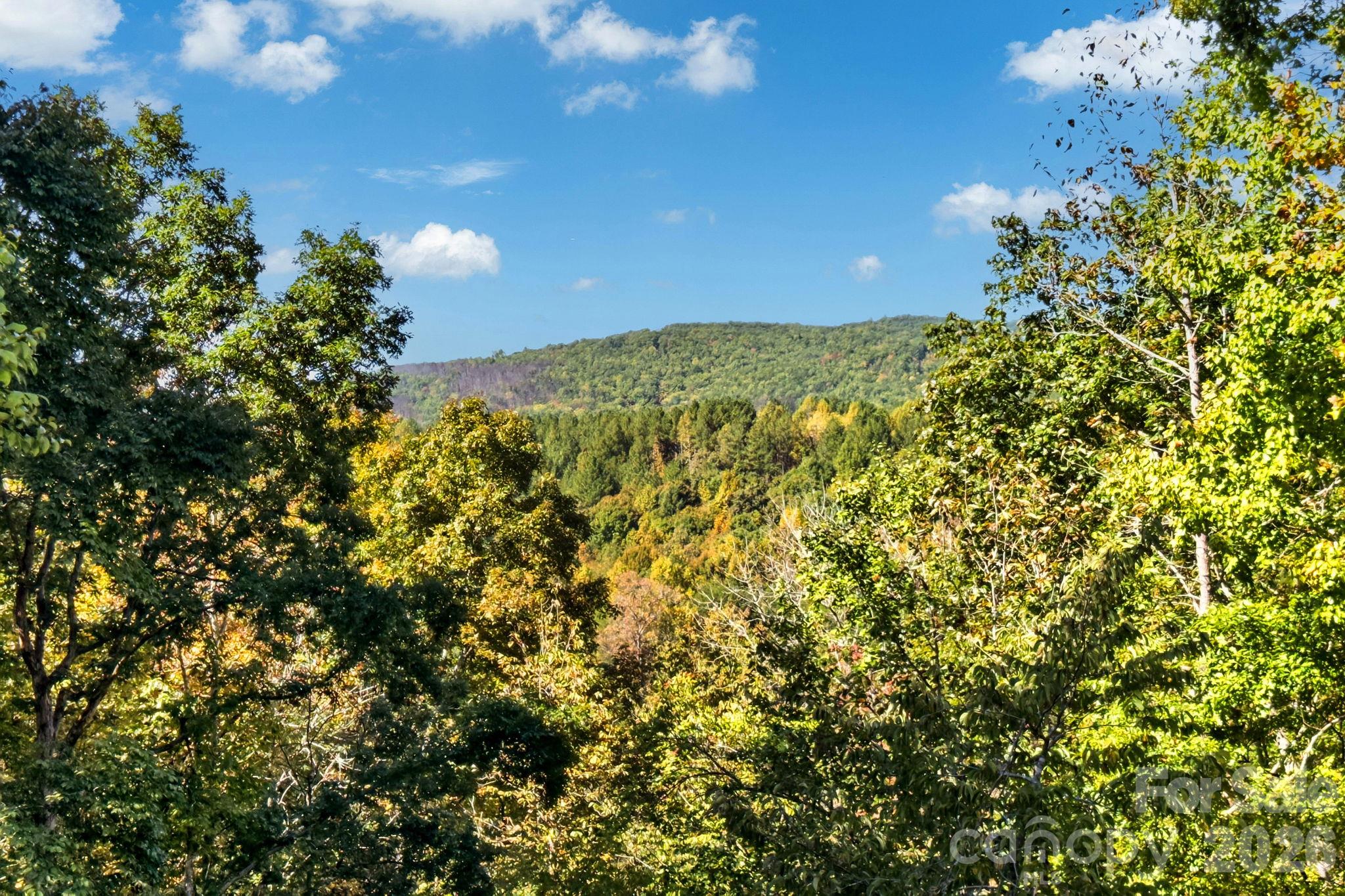 1822 Frog Creek Road Property Photo 9