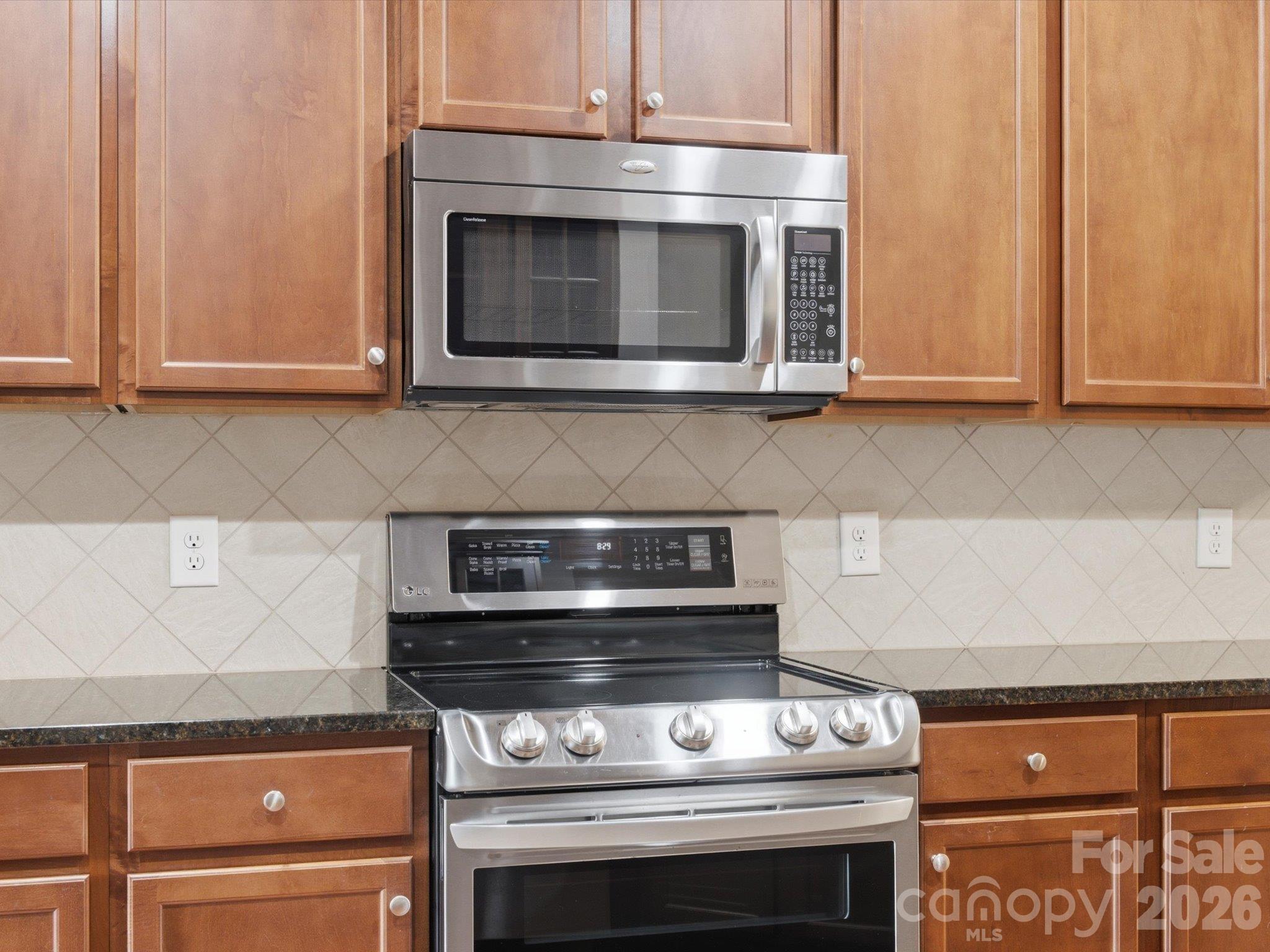 15110 Reminisce Lane Property Photo 19