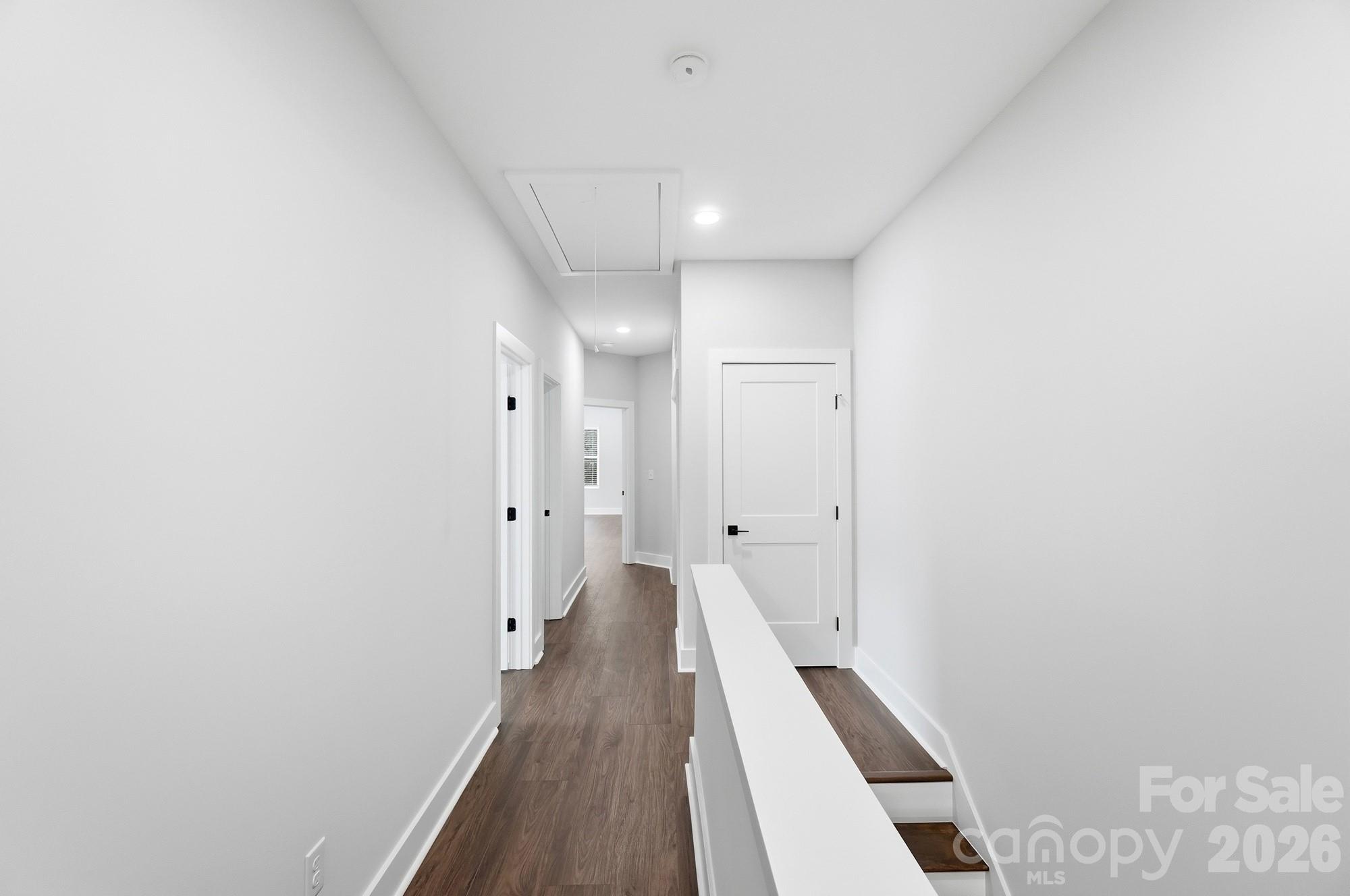 3217 Credenza Road Property Photo 18