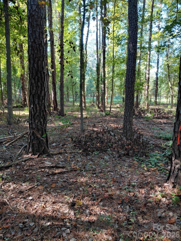 000 Nc Hwy 73 Highway Property Photo 1