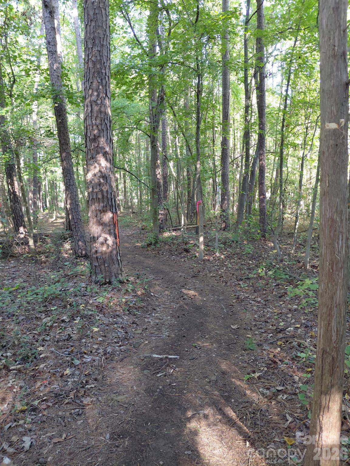000 Nc Hwy 73 Highway Property Photo 10