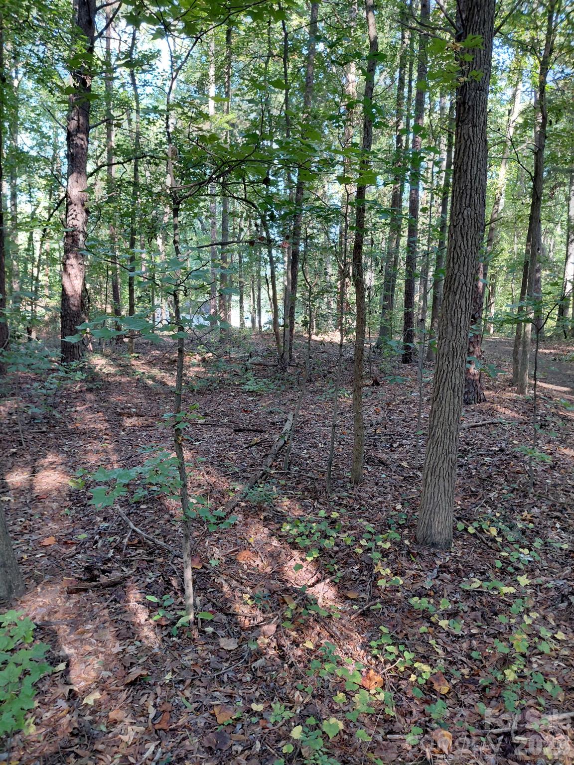 000 Nc Hwy 73 Highway Property Photo 11