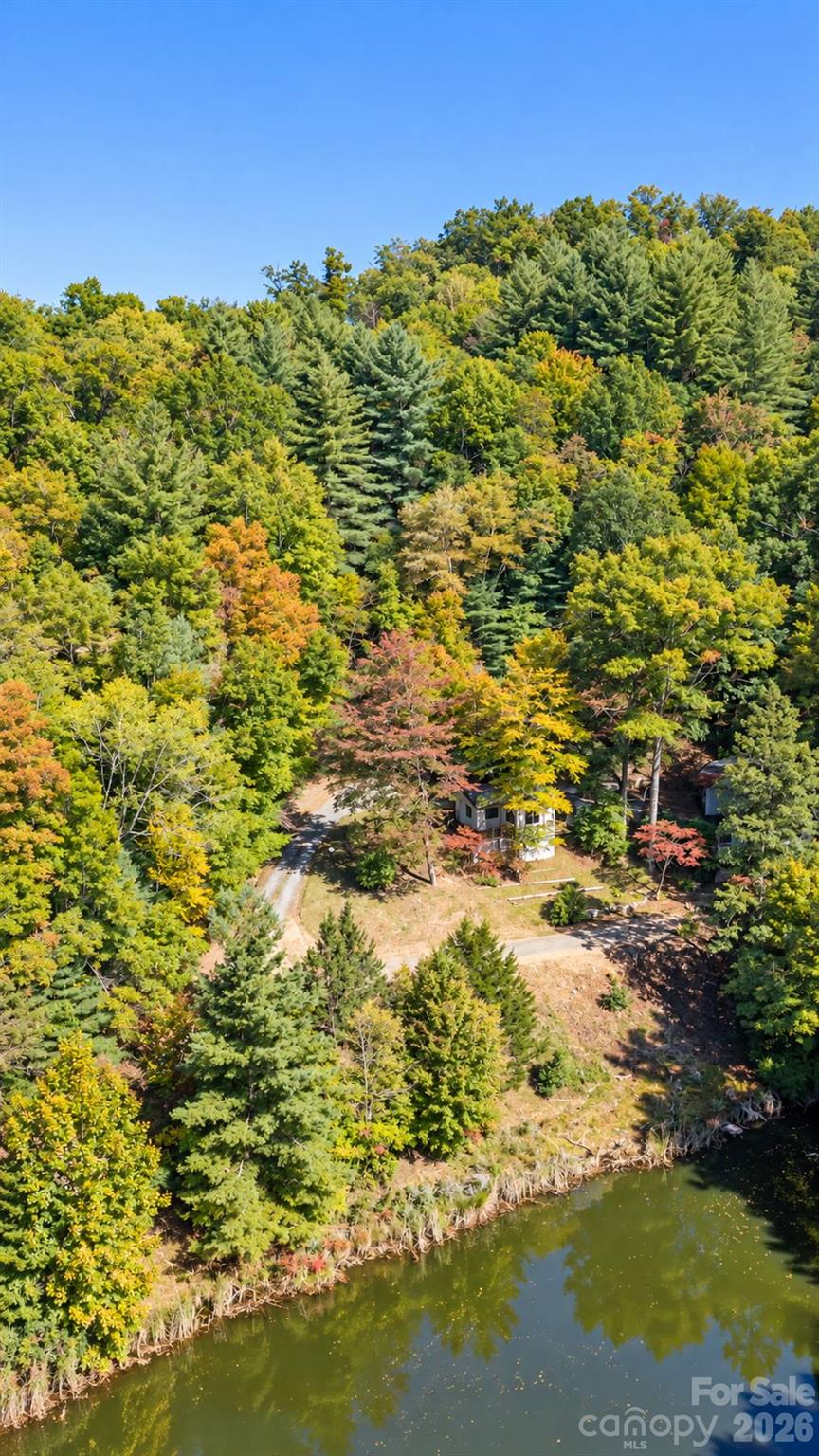 414 Bear Lake Circle Property Photo 41