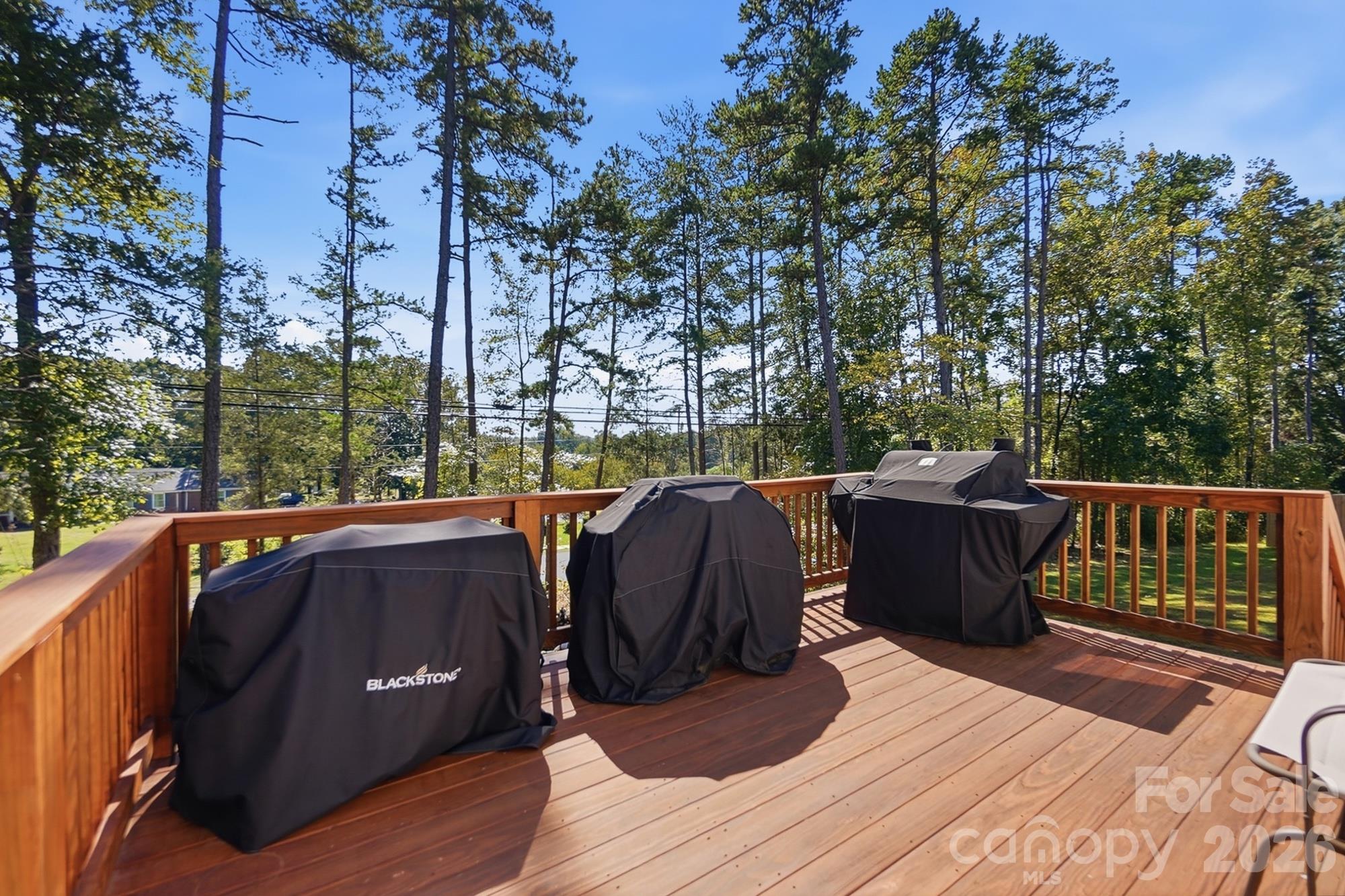 8680 Foil Street Property Photo 34