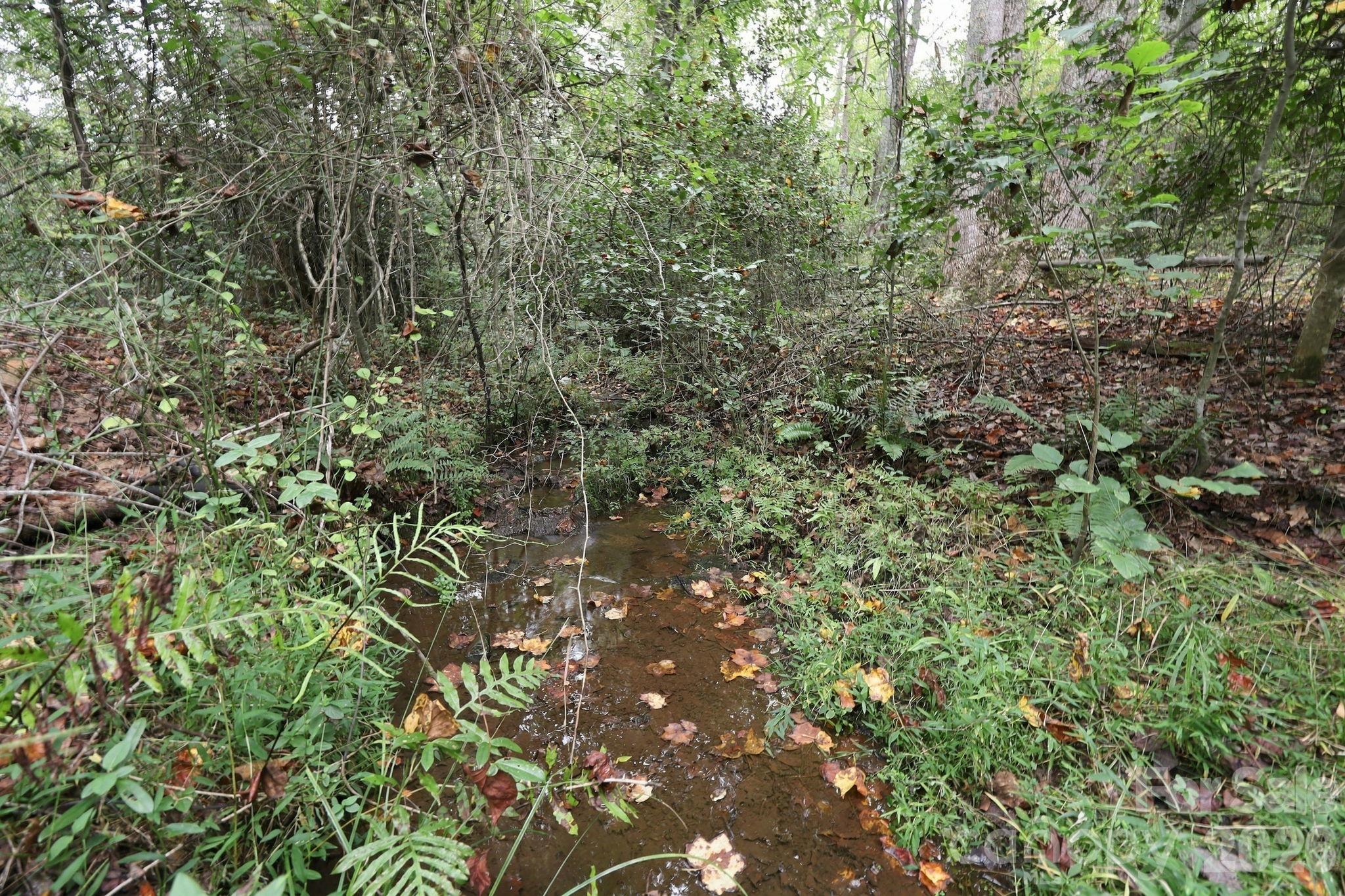 250 Circus Trail Property Photo 42