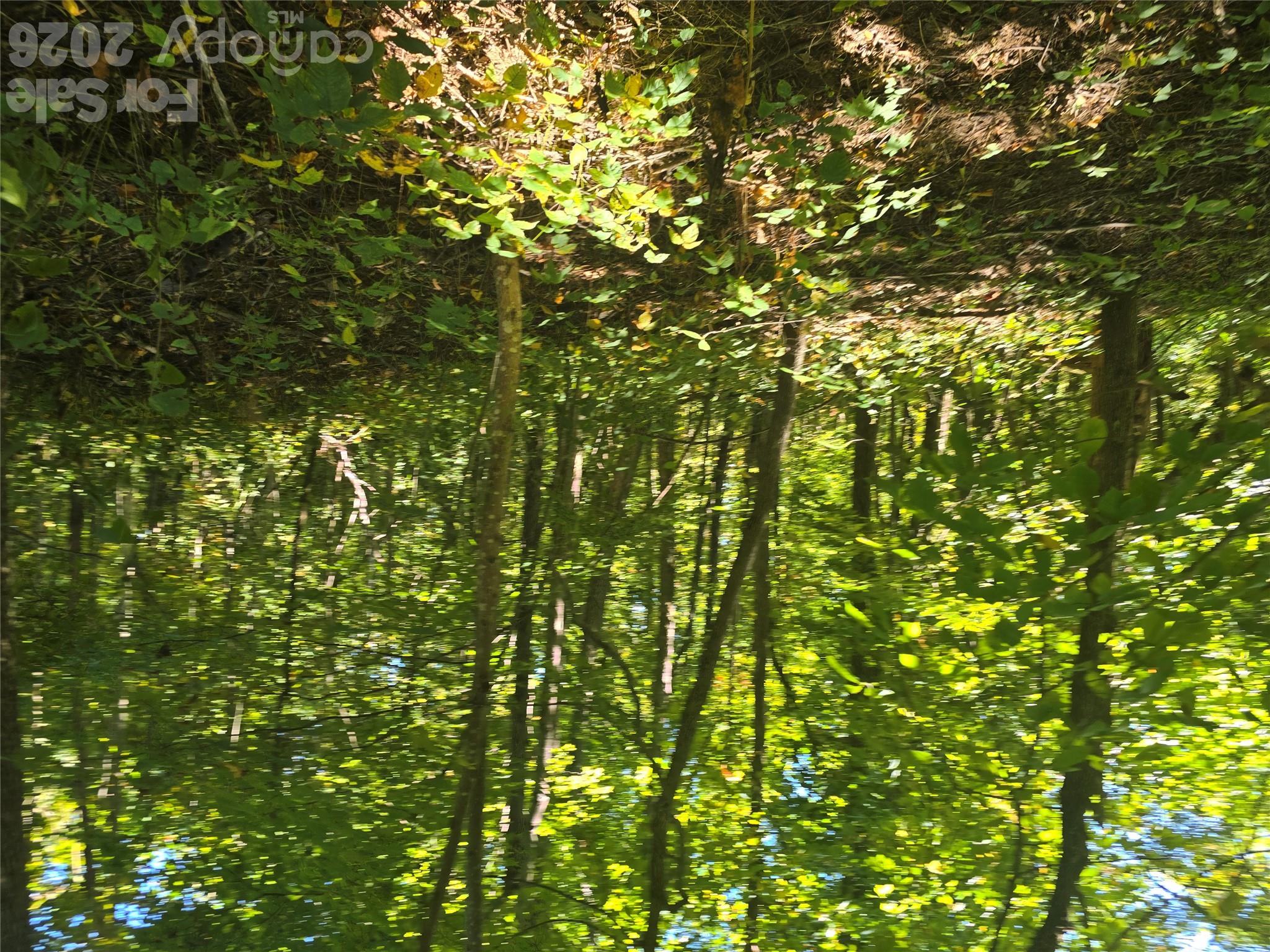 99999 Fawns Rest Trail 6 Property Photo 5