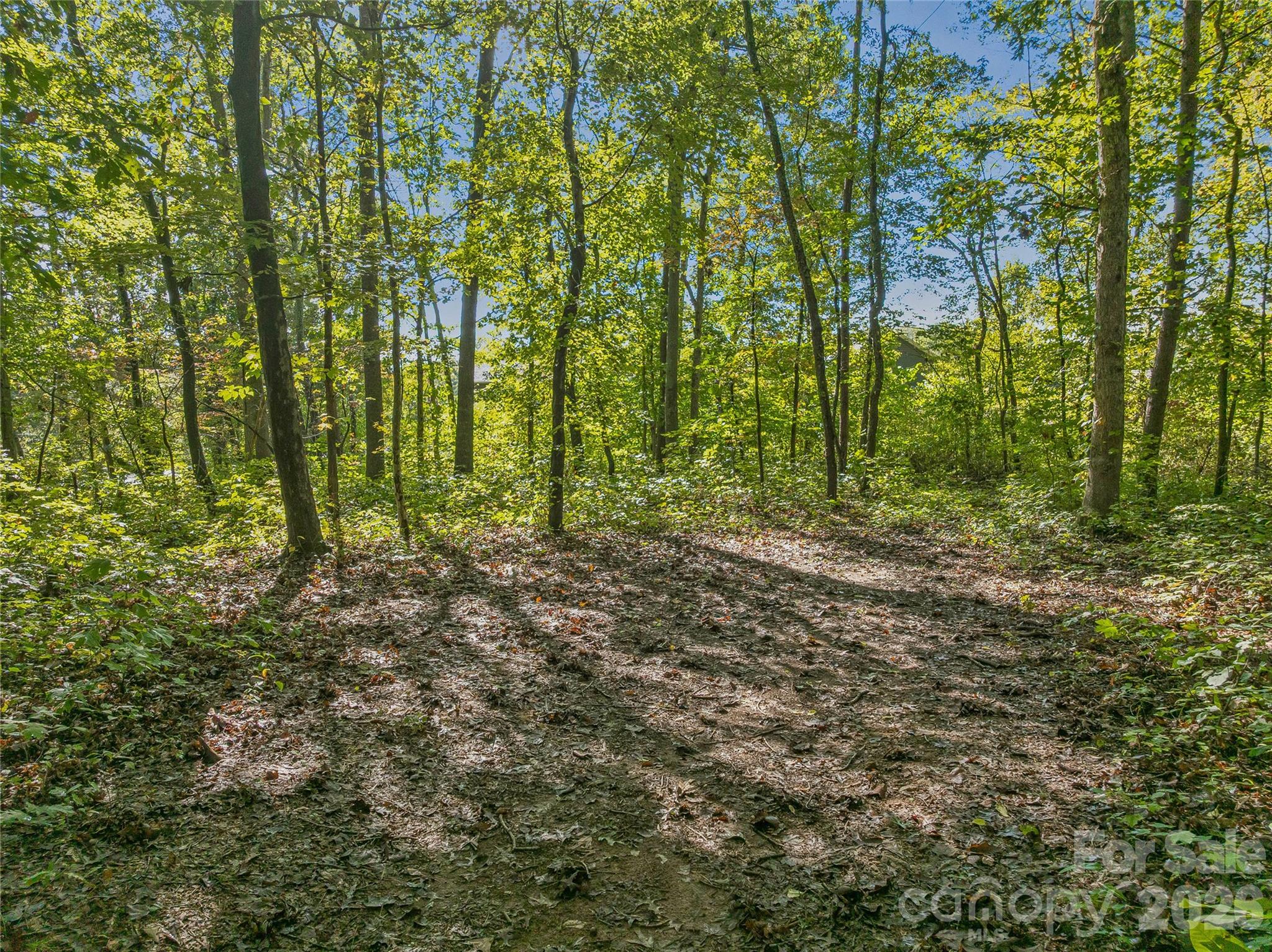 99999 Hi Alta Avenue Property Photo 14