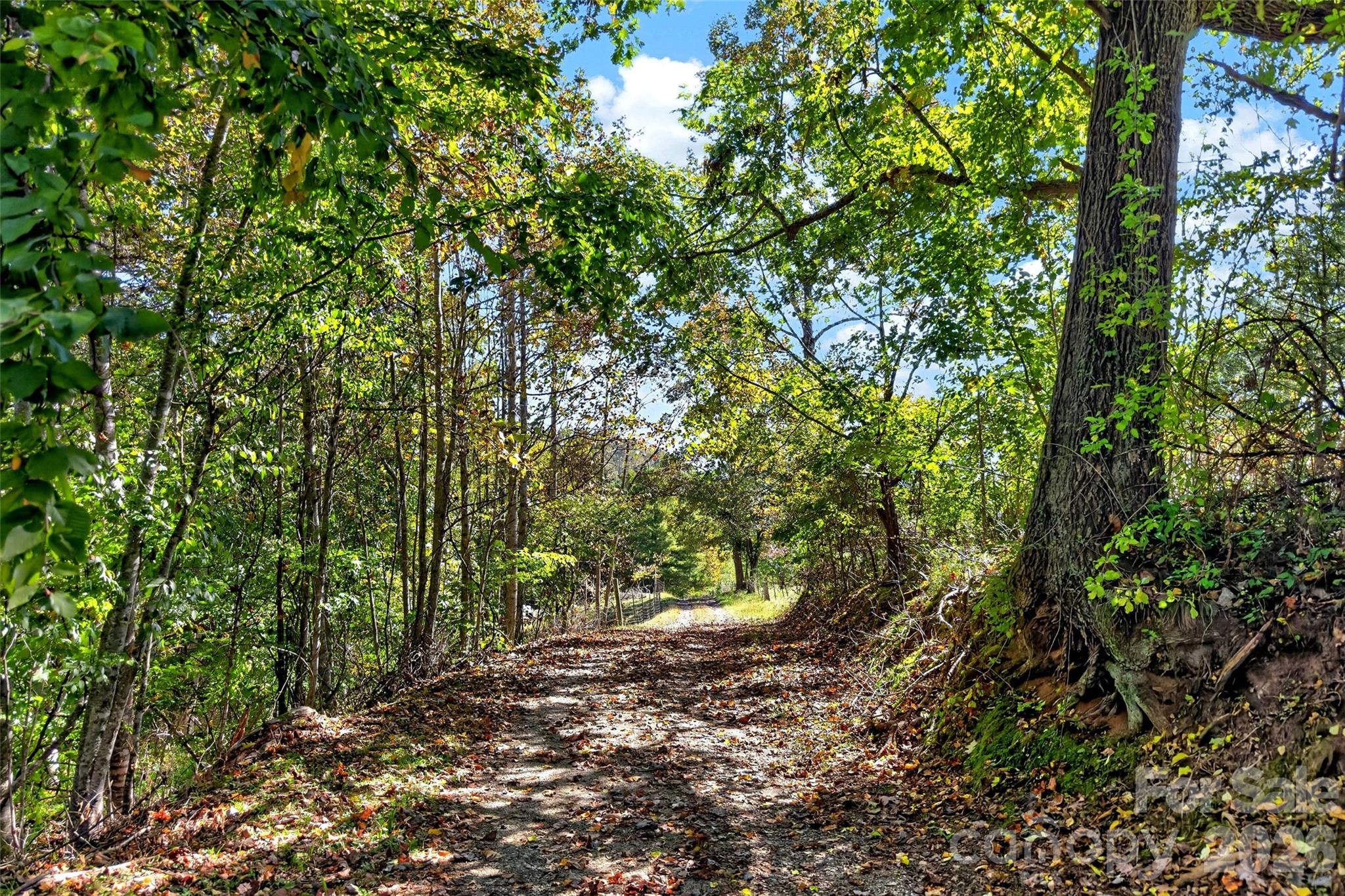 1685 Arbuckle Road Property Photo 33
