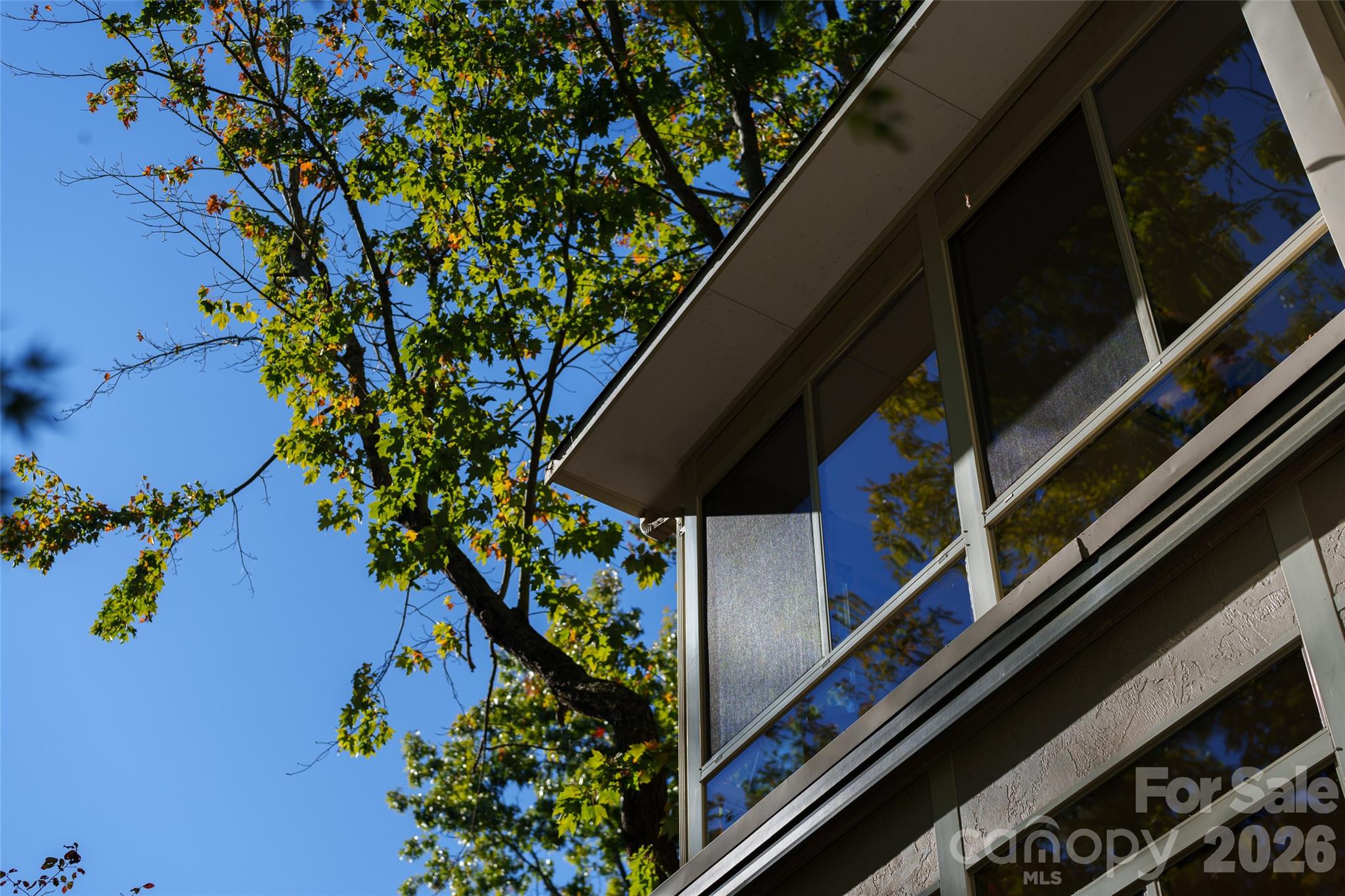61 Adohi Court Property Photo 36