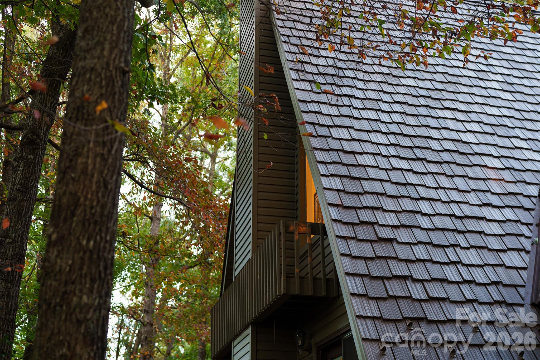 61 Adohi Court Property Photo 44