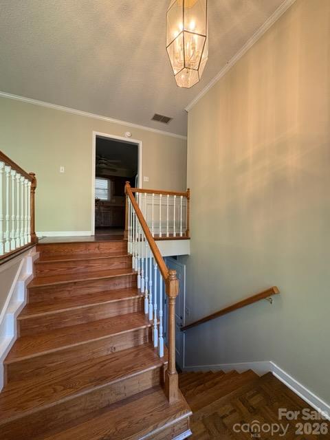210 Faye Court Property Photo 6