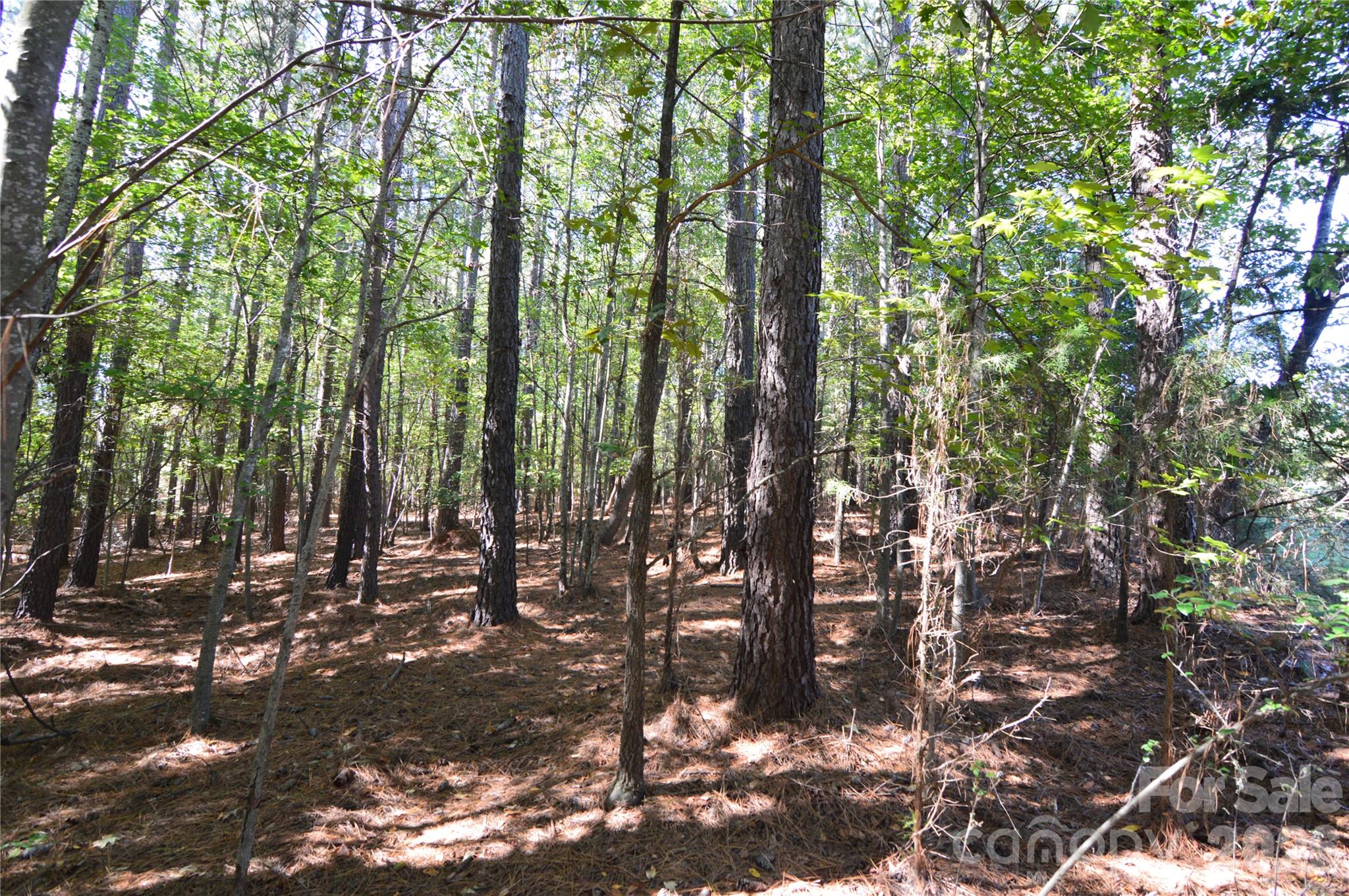 4001 Deer Park Lane 271-a Property Photo 6