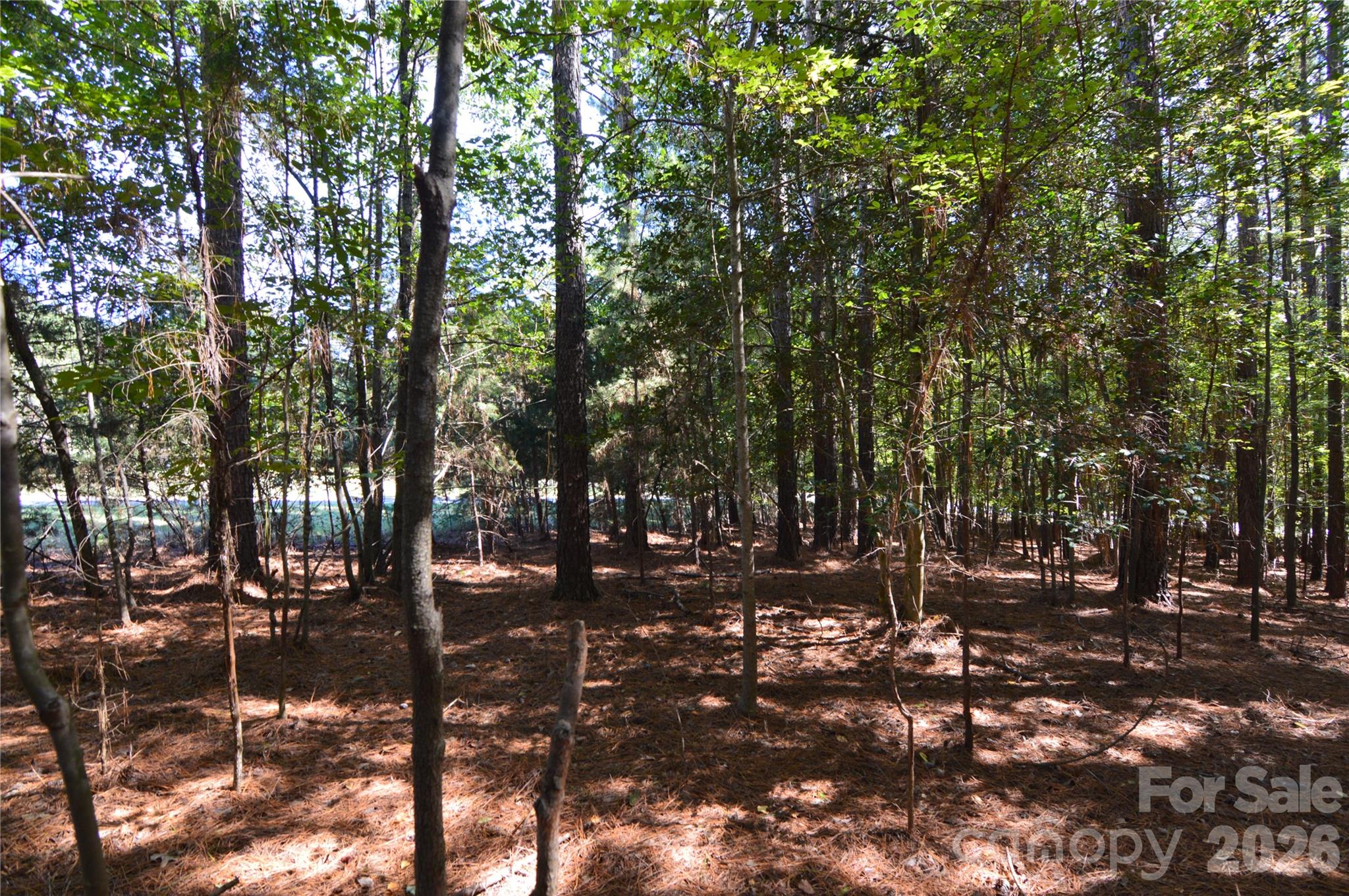 4001 Deer Park Lane 271-a Property Photo 8