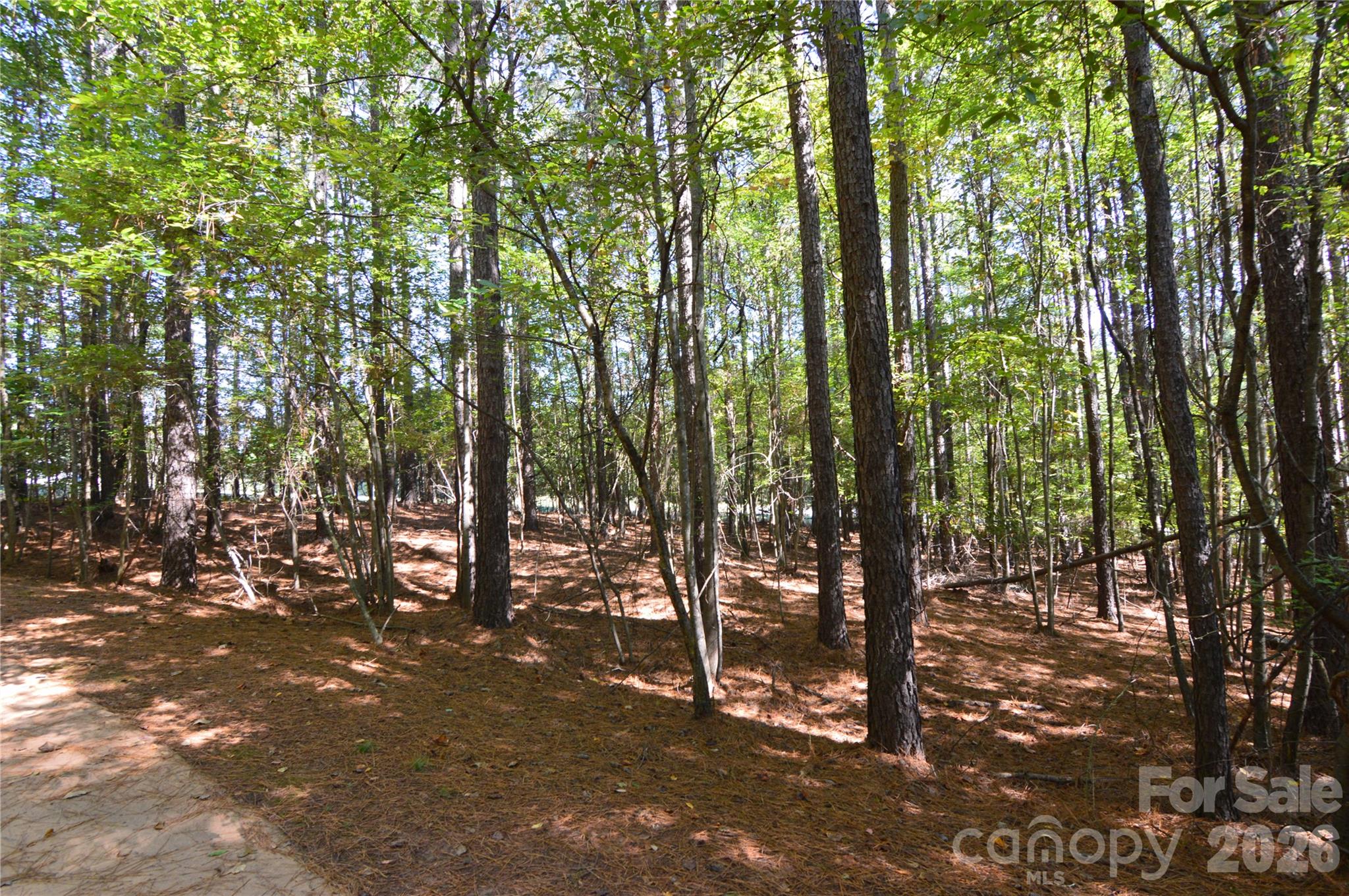 4001 Deer Park Lane 271-a Property Photo 10