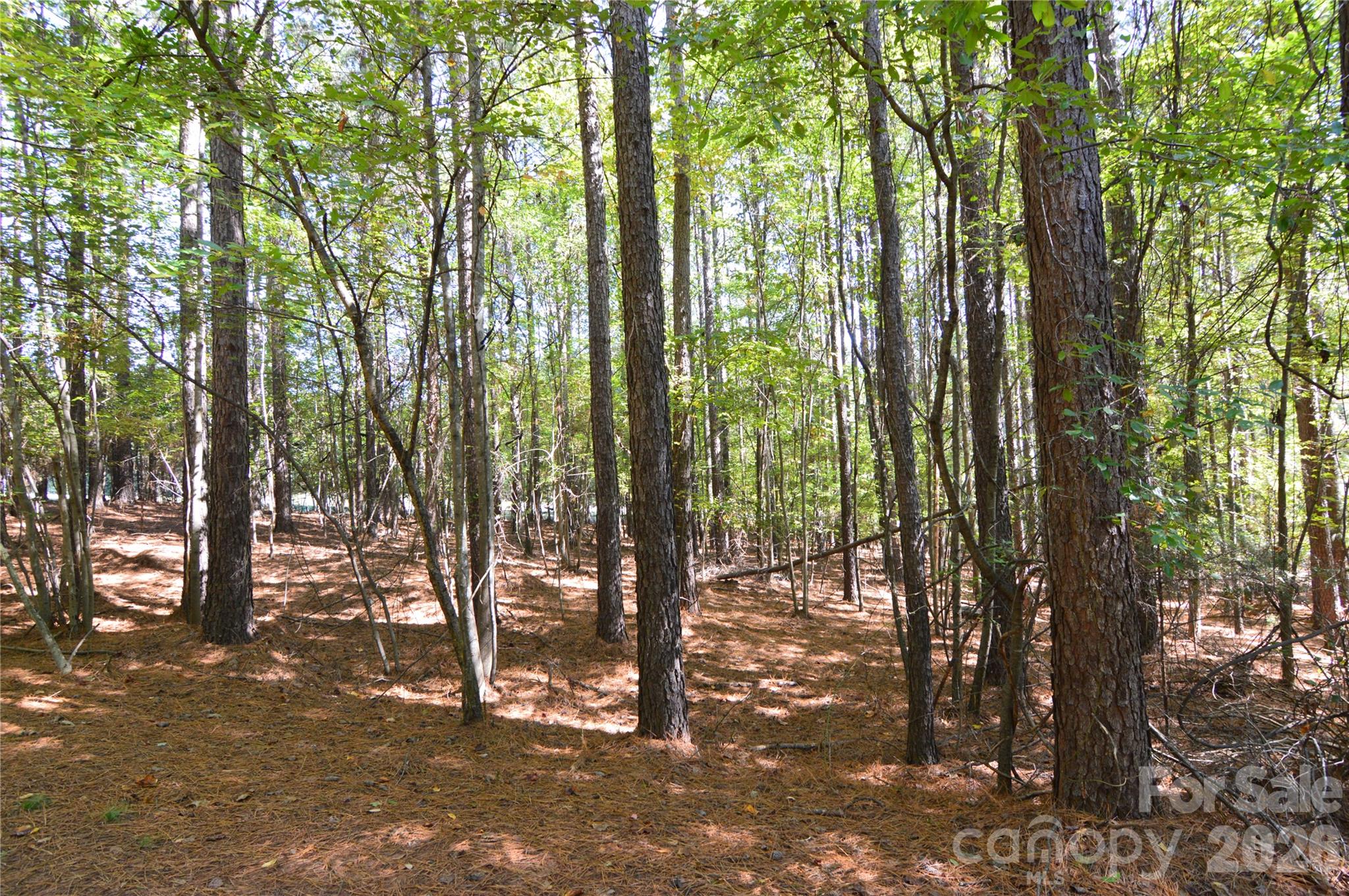 4001 Deer Park Lane 271-a Property Photo 11