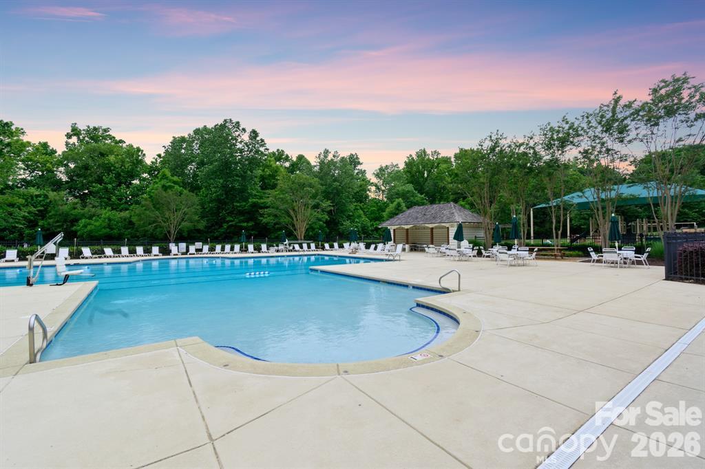 11701 Banter Lane Property Photo 38