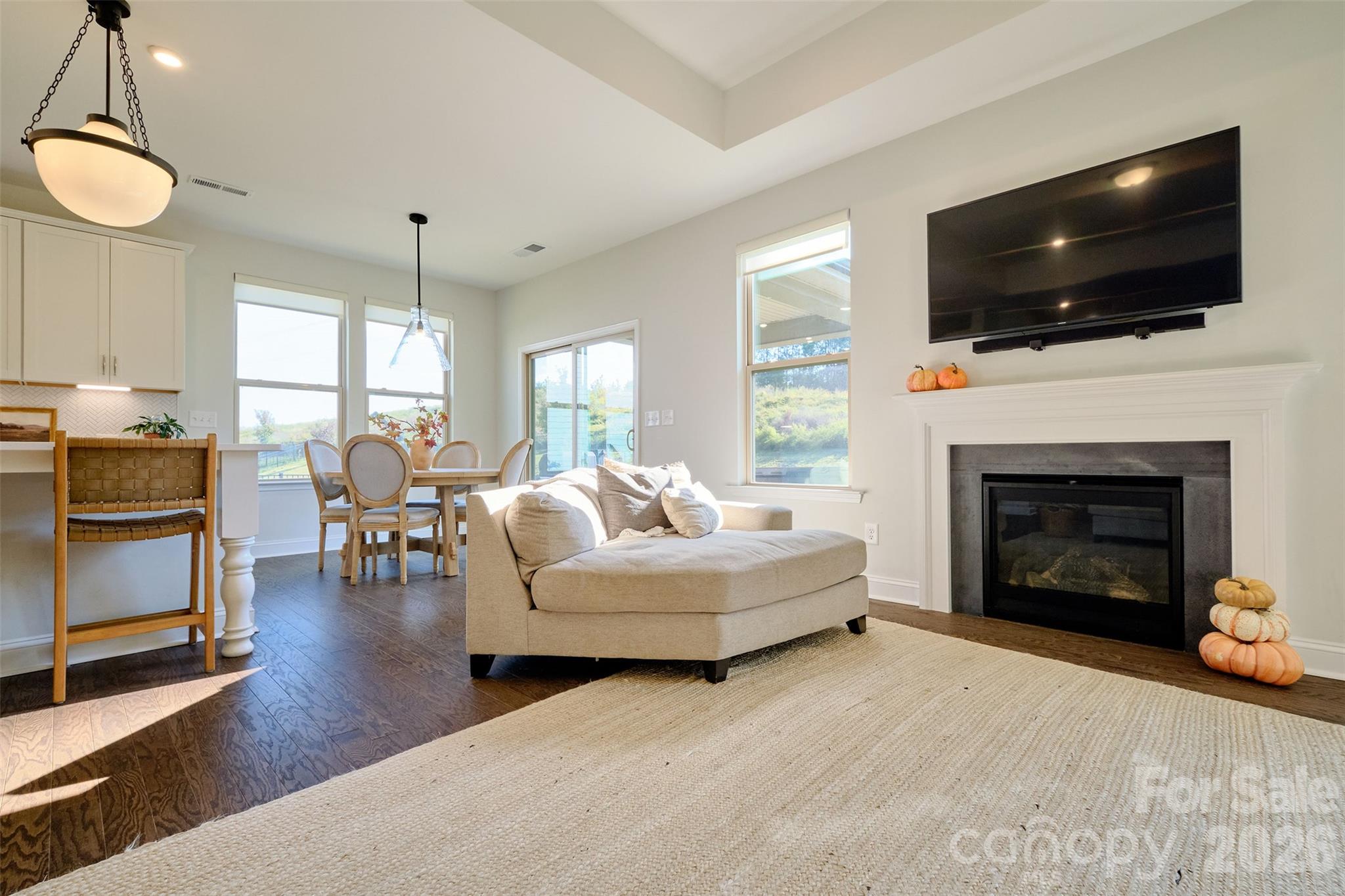 419 Clemson Tree Lane Property Photo 8