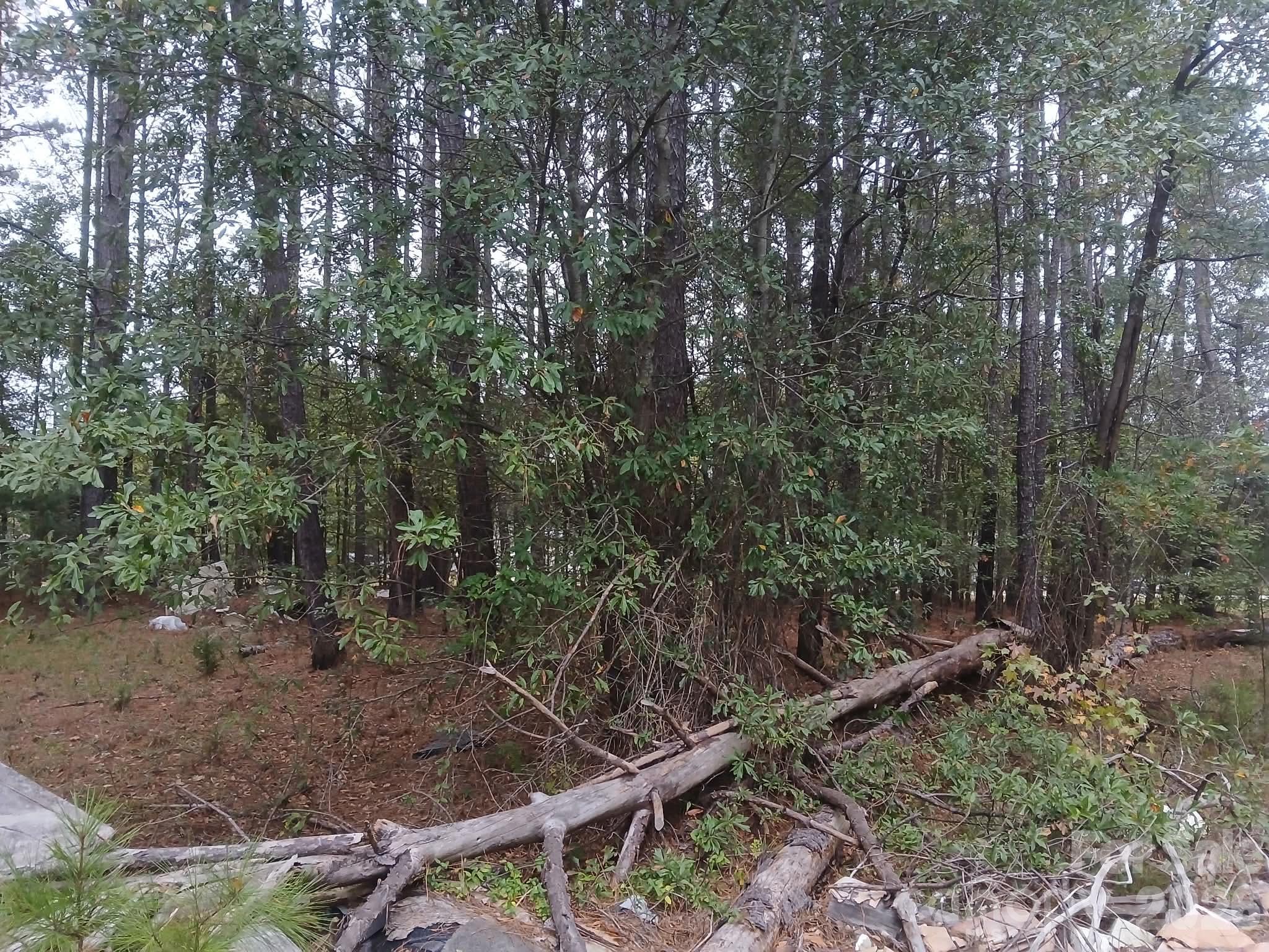 5916 Hightower Road Property Photo 7