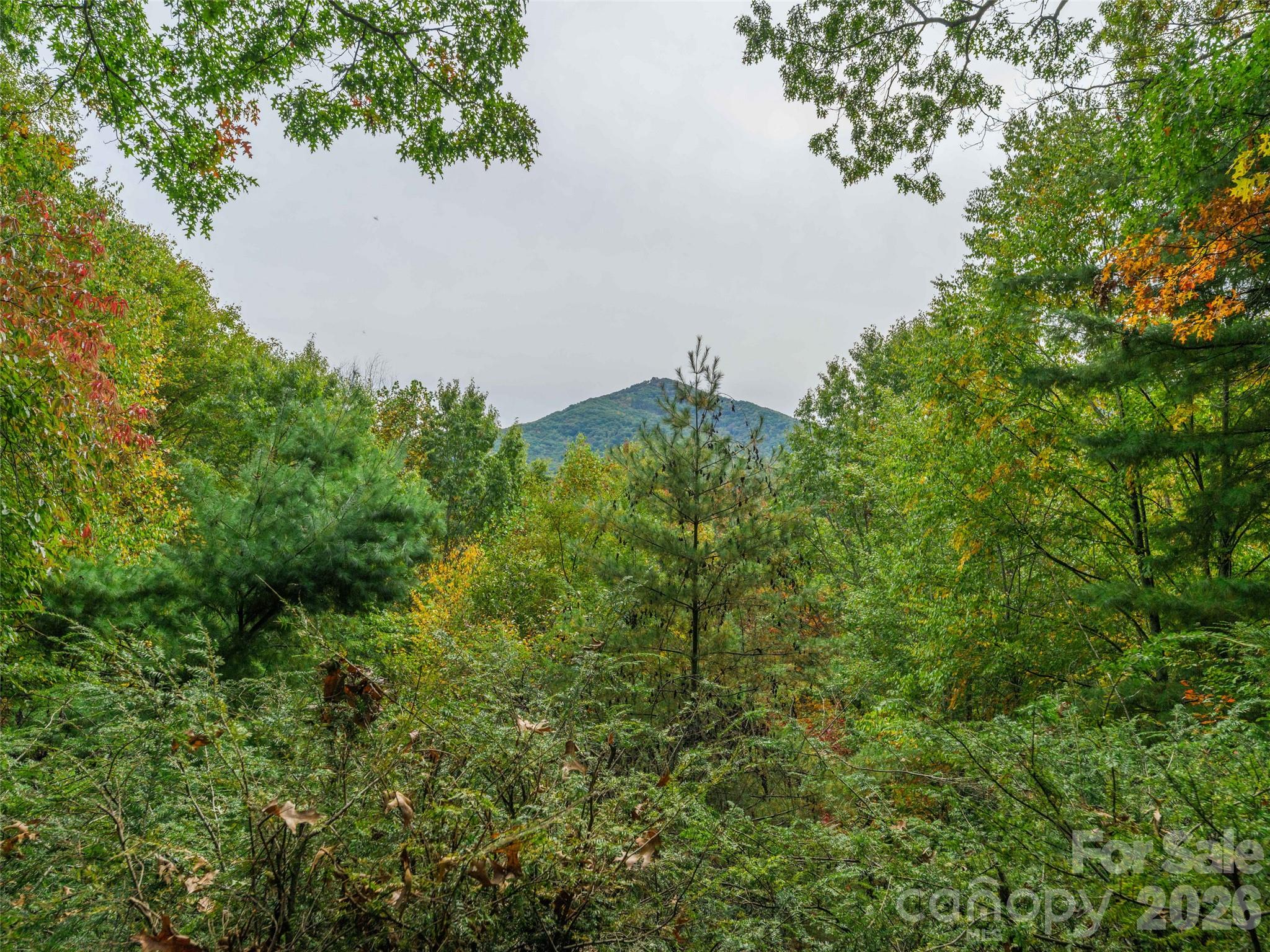 250 Creekside Drive Property Photo 3