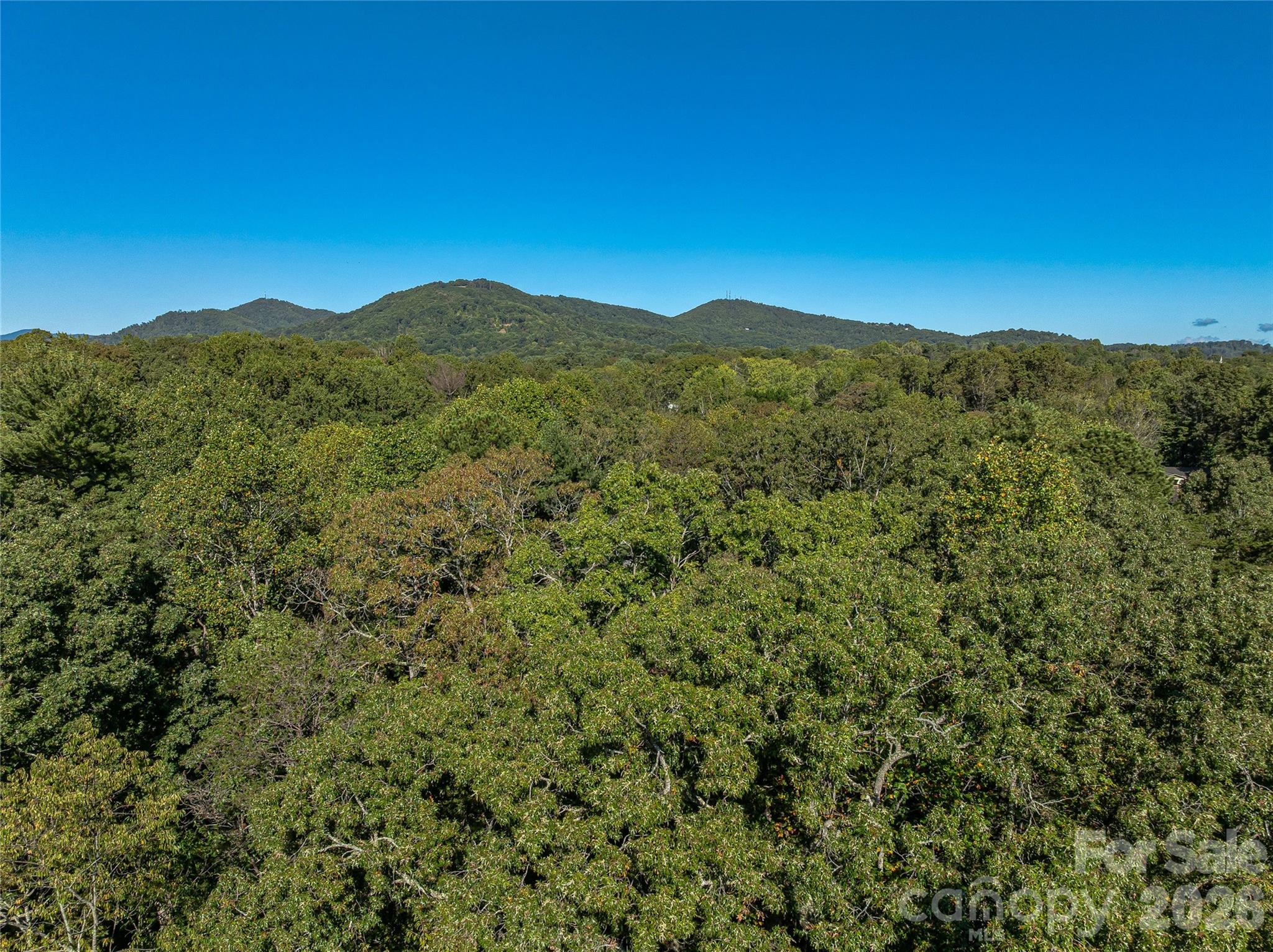 99999 Hi Alta Avenue Property Photo 13