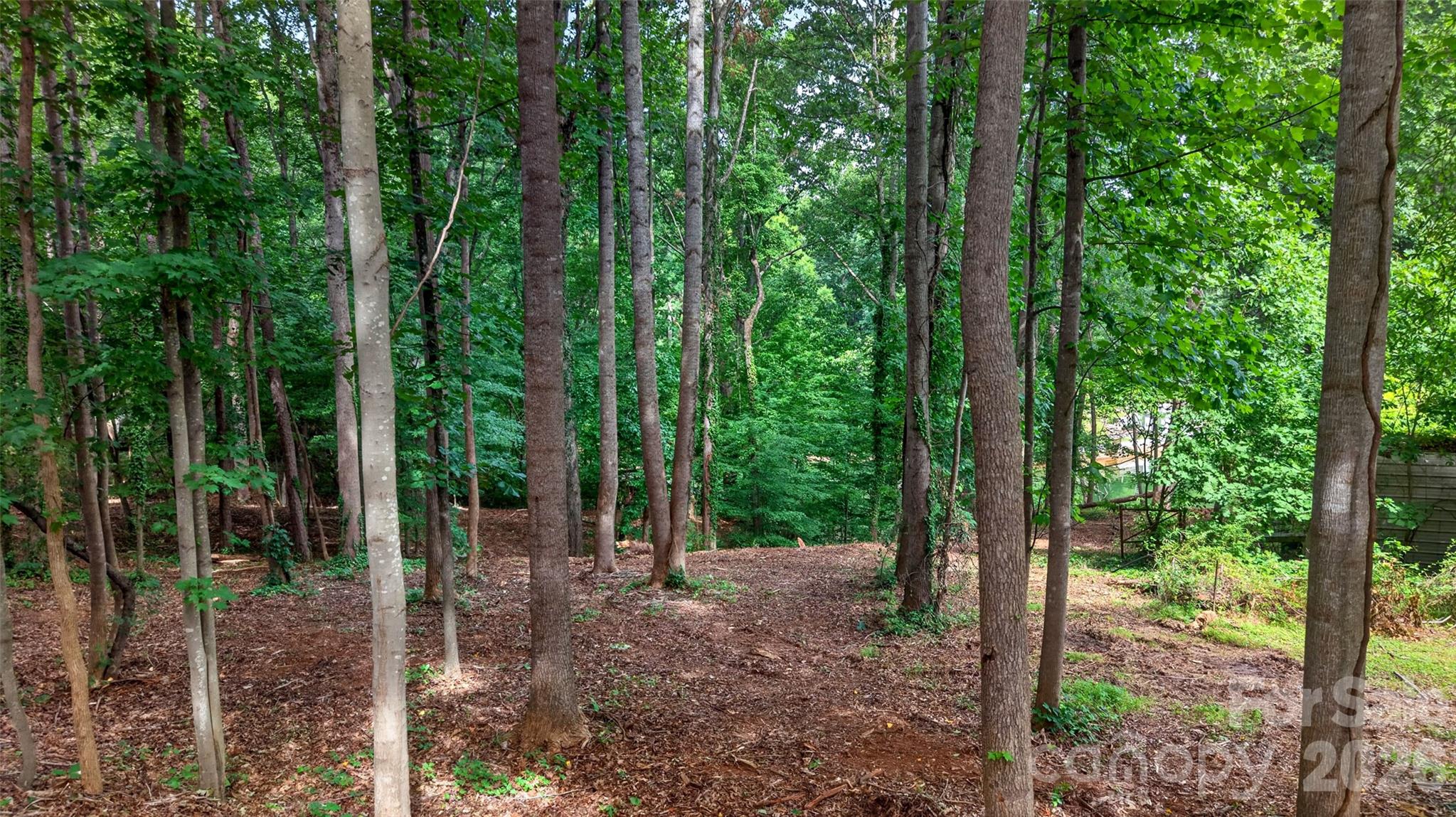 7124 Nancy Lee Circle Property Photo 6
