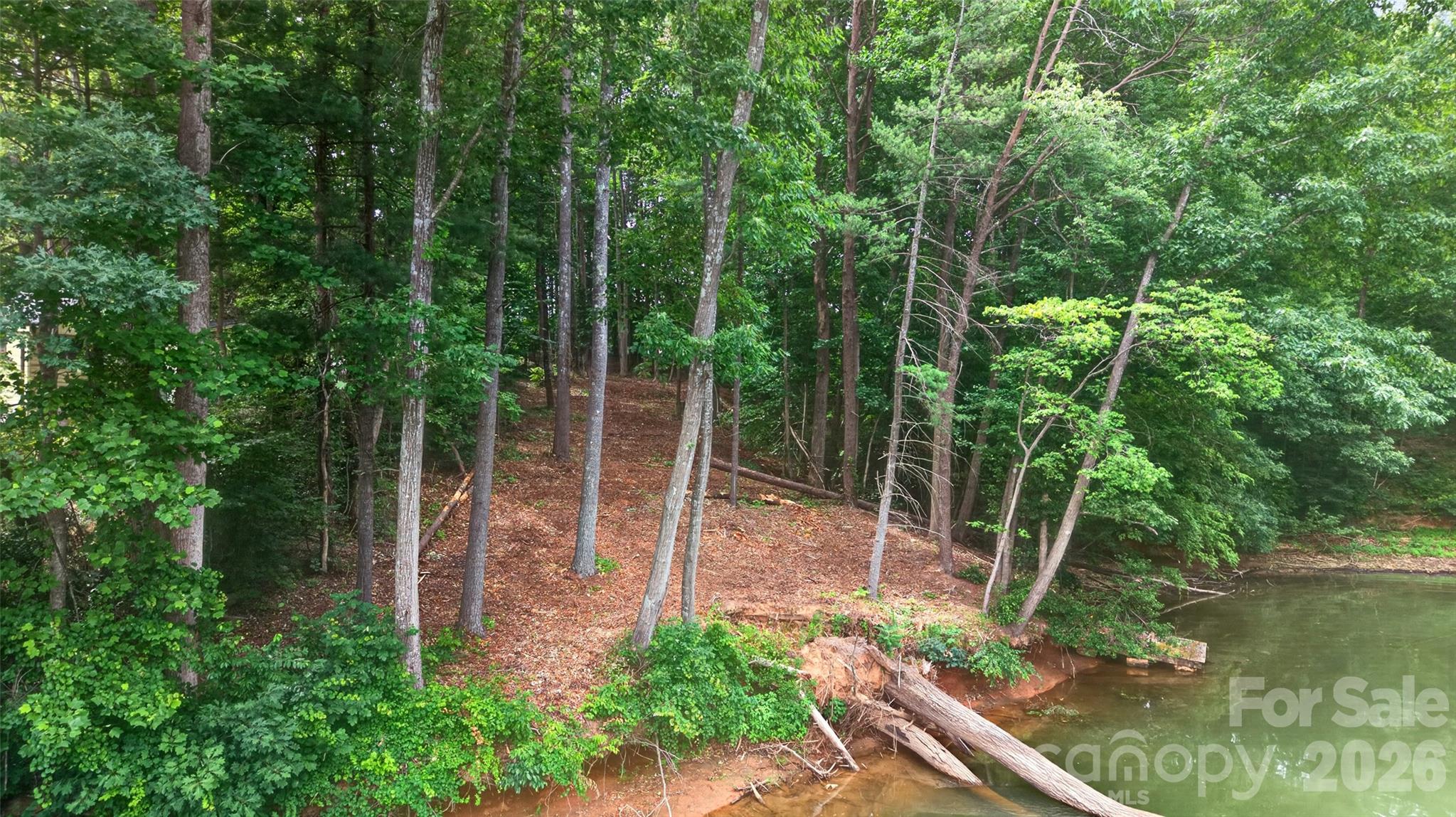 7124 Nancy Lee Circle Property Photo 8