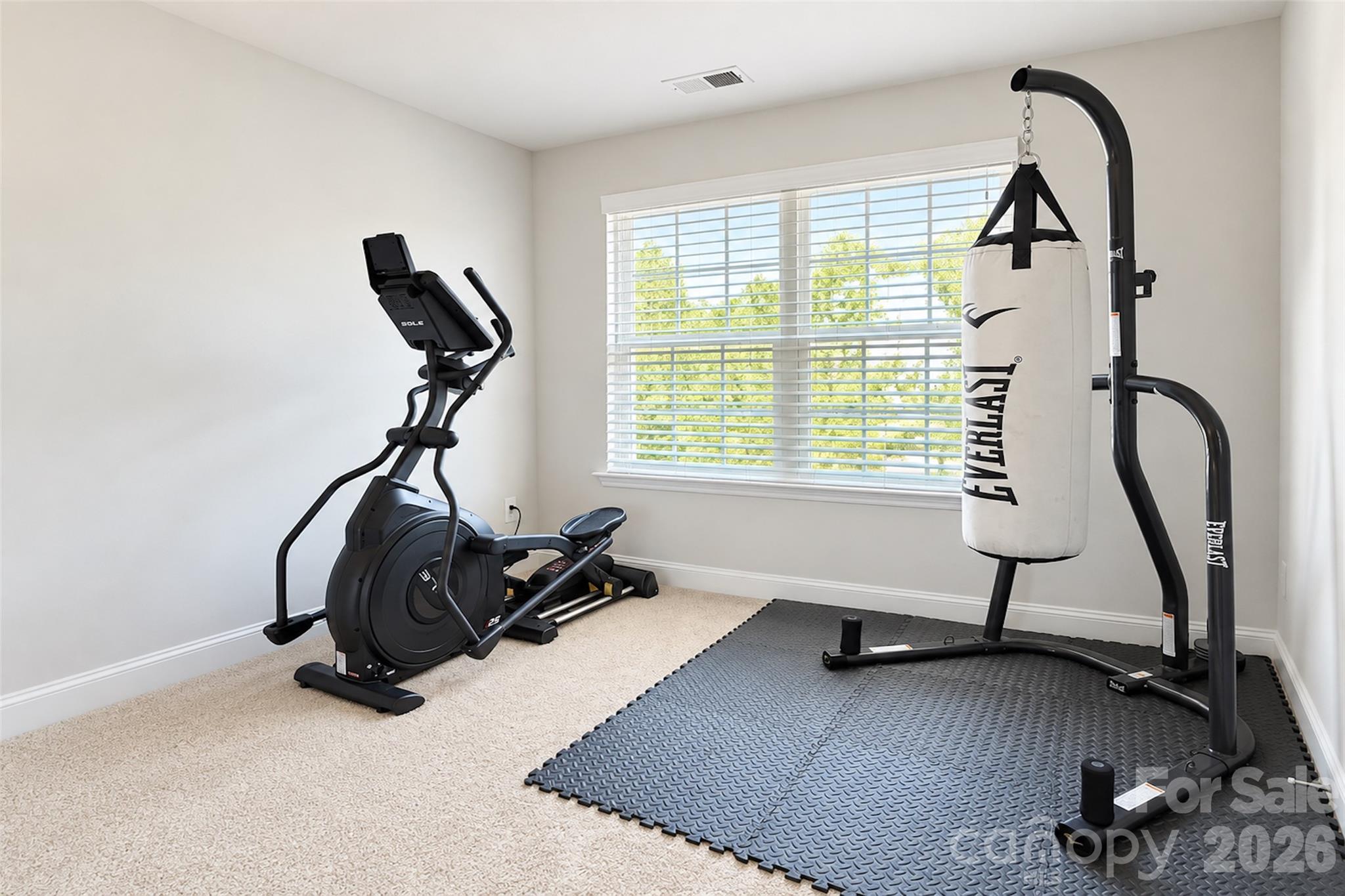 11406 Rising Star Court Property Photo 23